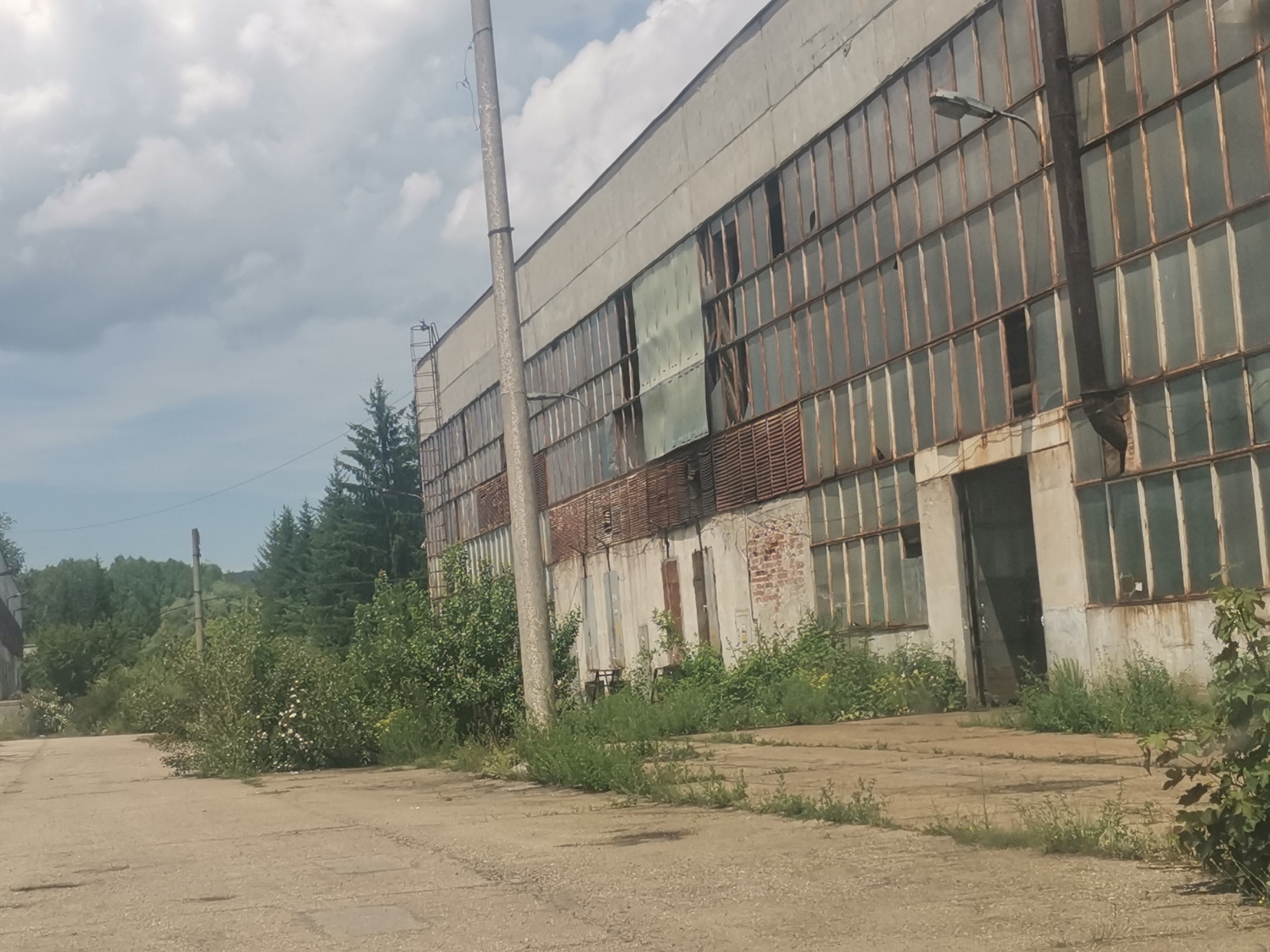 This image depicts a desolate industrial landscape, likely an abandoned factory or warehouse in Zhivkovo, Bulgaria. The central subject is a large, aging industrial building with a long facade dominated by numerous window panes. Many of these windows are broken, dirty, or appear to be boarded up, and their metal frames show significant rust and decay. The lower sections of the building reveal exposed brickwork and weathered concrete. A street light is attached to the building's exterior.
In the foreground, a cracked and worn concrete or paved area stretches, heavily encroached upon by overgrown grass, weeds, and bushes, signifying neglect. A tall, slender utility pole stands prominently towards the left, with wires extending from it. Beyond the industrial structure, dense green vegetation, including tall coniferous and deciduous trees and various bushes, forms a verdant backdrop, suggesting a rural or semi-rural setting surrounding the industrial site.
The scene is captured during the daytime under a partially cloudy sky, with diffuse light illuminating the area. There is no human activity visible, which enhances the pervasive sense of abandonment, decay, and quiet desolation. No visible text is present in the image. The overall impression is one of post-industrial decline and nature reclaiming man-made structures.