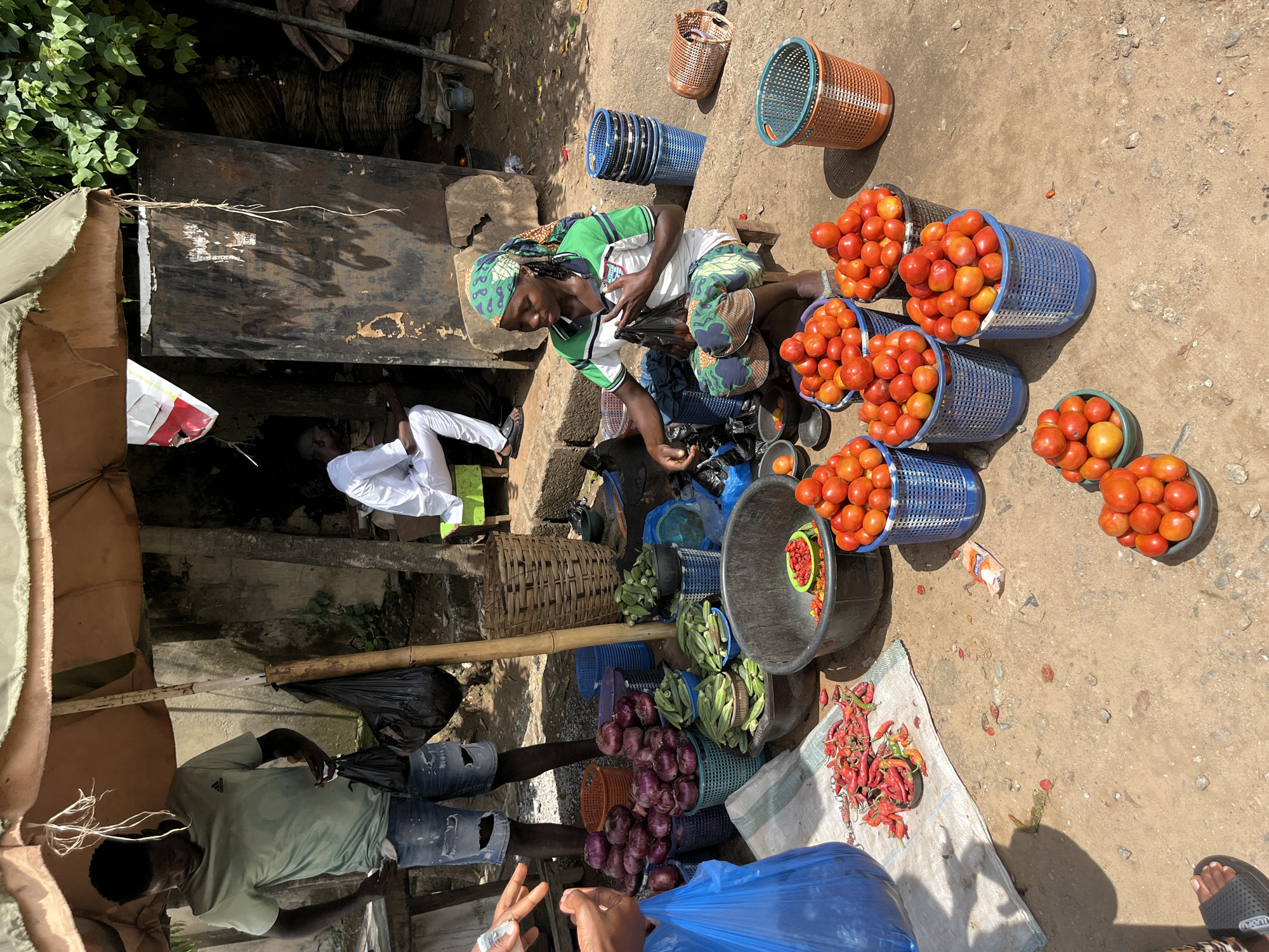 This image captures an outdoor market scene in Abuja, Nigeria, under bright sunlight. The primary focus is a market stall displaying fresh produce on an unpaved, light brown dirt ground.
In the mid-ground on the right, a female vendor is seated on a low stool. She wears a white t-shirt with green stripes, patterned green and brown shorts, and a green patterned headwrap. She is actively handling a small black plastic bag, likely for packaging produce. Surrounding her are numerous items: red and orange tomatoes are piled in multiple blue plastic mesh baskets and dark bowls; stacks of red onions are arranged in light blue and orange plastic baskets; green okra pods are contained in various bowls; and a spread of red and some green chili peppers rests on a white woven mat. A large, dark-colored plastic basin and several other small bowls also contain produce.
To the left of the vendor, a male customer stands, wearing a light green Adidas t-shirt and ripped blue denim shorts. He holds small black plastic bags in his left hand, and his right hand, partially visible in the left foreground, appears to be engaged in a transaction or handling an item. In the extreme left foreground, another person's hands are visible, holding a large blue plastic bag.
The market setup includes a large, circular, multi-paneled fabric umbrella, supported by a central wooden pole, providing shade over the vendor and a portion of the display. In the background, to the left, a man wearing a white long-sleeved shirt and white trousers is seated on a green stool, positioned in front of a weathered, dark metal door or shutter. Green foliage is visible beyond this structure. Several empty blue and orange plastic mesh baskets are stacked or scattered around the periphery of the market stall, along with a tall, woven basket near the umbrella pole. The ground is uneven, comprised of packed earth, small stones, and sparse debris.