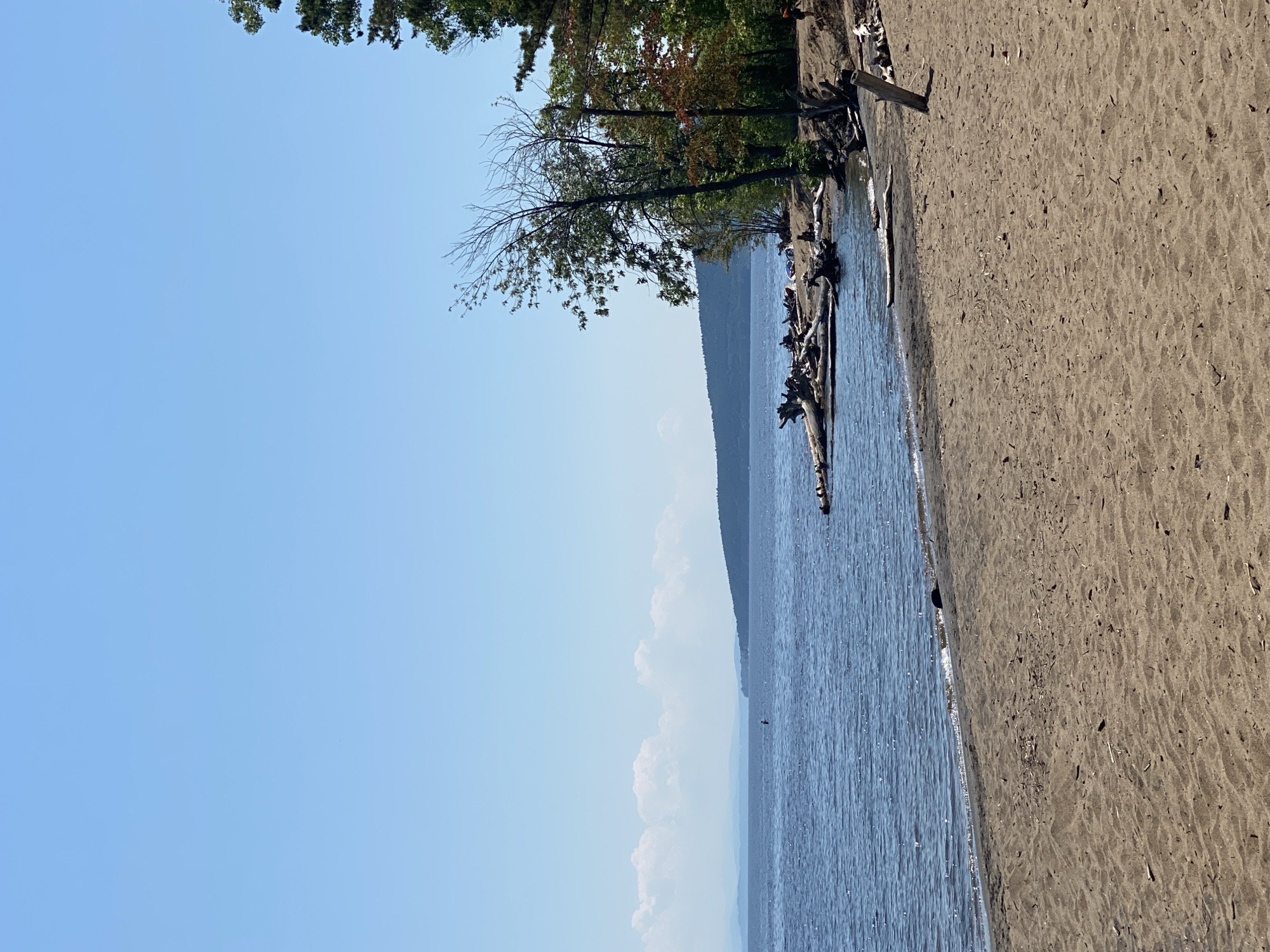 This media file captures a serene lakeside scene on a clear, sunny day, likely in the afternoon, given the bright lighting. The image is oriented vertically, presenting a panoramic view of a sandy beach leading to calm, blue water. Scattered driftwood and logs lie along the shoreline, adding a natural, rustic element to the scene.
In the background, a lush, tree-covered hillside rises from the opposite side of the lake, disappearing into a hazy, distant horizon. A few scattered white clouds drift lazily across the bright blue sky, indicating pleasant weather.
The foreground is dominated by the texture of the sandy beach, speckled with small debris. The water is rippled, reflecting the sunlight, and a gentle wave laps at the shore. Along the edge of the water, several small groups of people can be seen enjoying the day, though their specific activities are not discernible. Their presence suggests a leisurely outing, perhaps swimming, sunbathing, or simply relaxing by the water. The overall mood of the image is peaceful and tranquil, evoking a sense of summer relaxation. No visible text is present in the media file.
