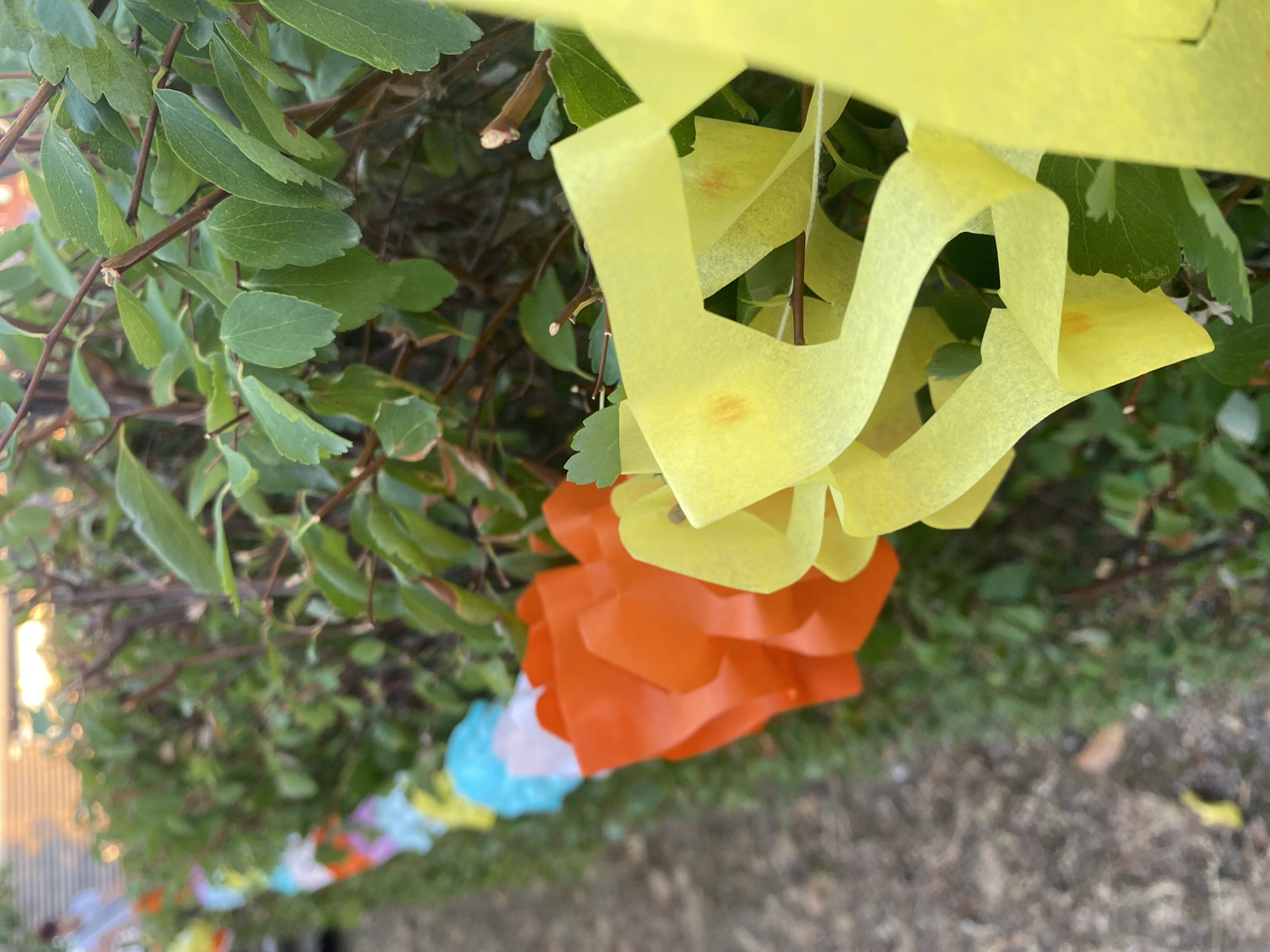 A garland of colorful paper decorations is draped along a green hedge. The garland consists of orange and yellow paper elements that appear to be cut into petal-like shapes. In the background, out of focus, a person in a white shirt is visible. The scene is set outdoors, with a blurred path or ground visible in the foreground. The lighting suggests it might be late afternoon or early evening. The location is identified as Purbach, Austria.