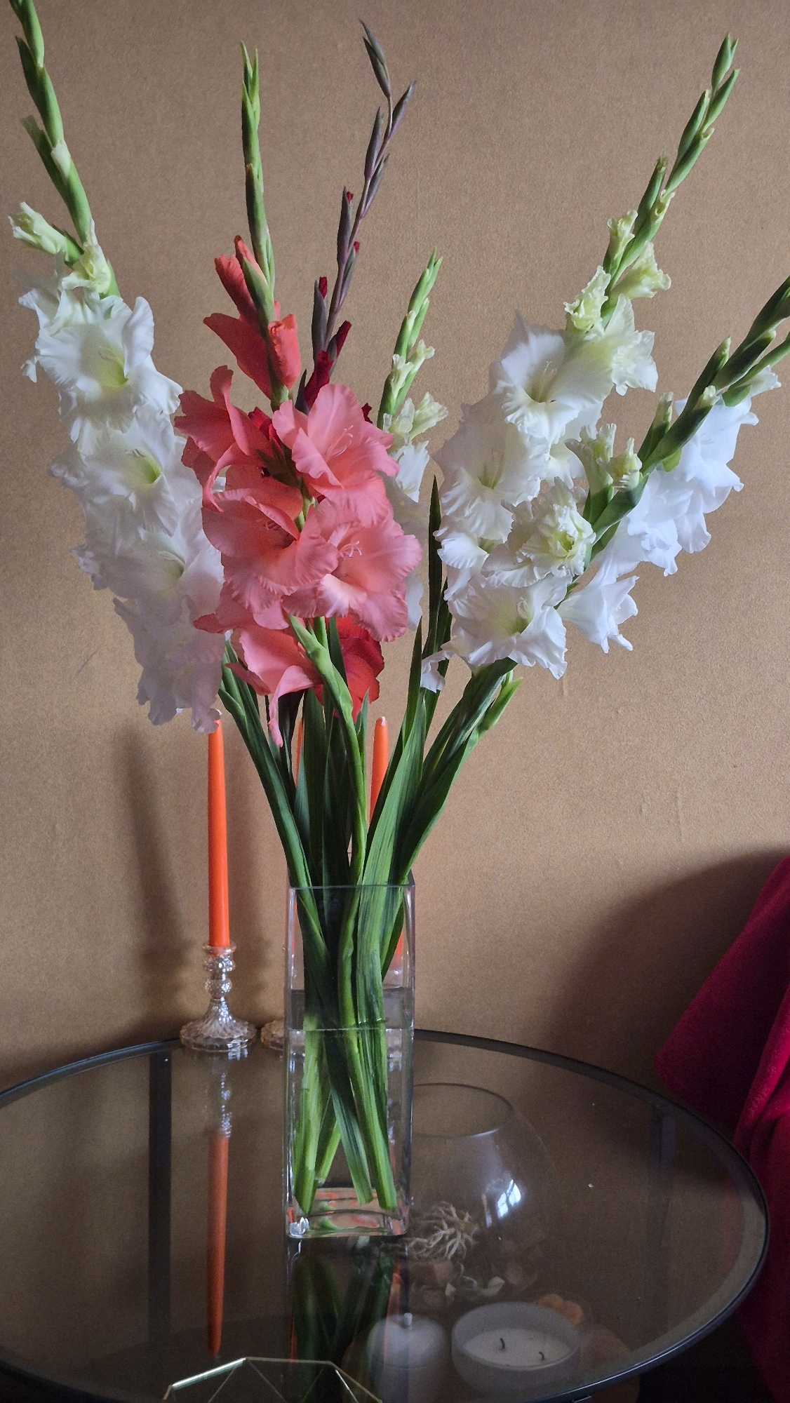 The image displays a floral arrangement of gladiolus flowers in various shades of pink, coral, and white, set in a clear glass vase. The vase rests on a reflective, circular glass table. To the left of the vase, two orange taper candles in ornate candle holders are visible, their reflections extending onto the table's surface. The background consists of a plain, light brown wall. The scene appears to be an indoor setting, possibly a home or a commercial establishment. There is no indication of the city of Krauja, Latvia, within the image.