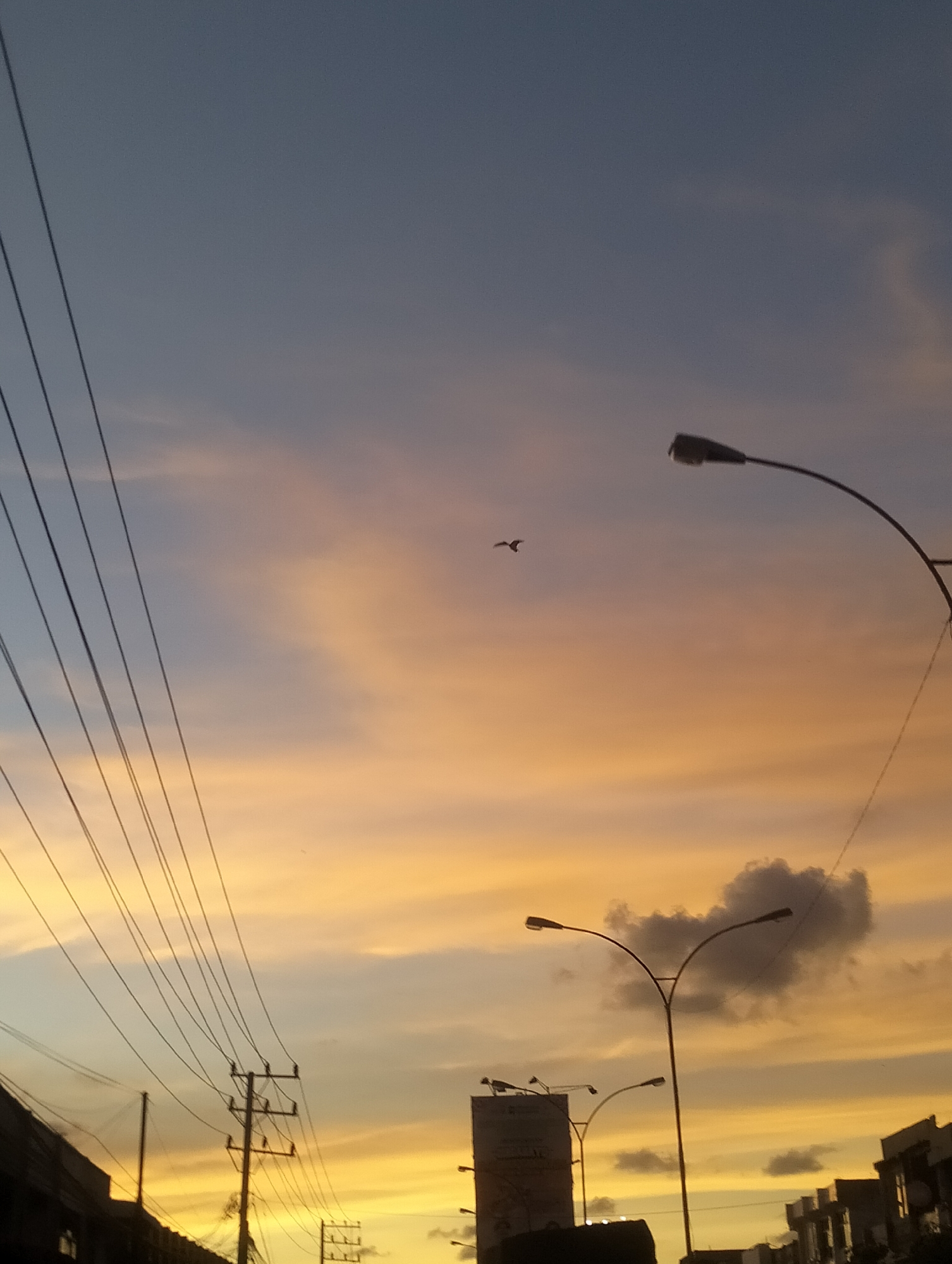 This media file captures a serene sunset scene in Lhokseumawe, Indonesia. The sky is a canvas of soft colors, transitioning from a pale blue at the top to a warm orange and yellow hue as it nears the horizon, suggesting dusk. Wispy clouds are scattered across the sky, with a particularly dark, amorphous cloud formation visible in the middle-right portion of the image.
The foreground is dominated by a network of power lines, running diagonally from the left side of the frame. These lines are supported by utility poles, one of which is clearly visible in the lower-middle section, with multiple crossbars holding the wires. Silhouetted against the colorful sky are several streetlights, their curved arms extending outwards. One streetlight is prominently featured on the right side of the image.
In the distance, the outlines of buildings and structures are visible, hinting at an urban or semi-urban setting. A large billboard or sign structure is also present on the left, adding to the man-made elements of the scene. A single bird is captured in flight in the upper-middle section of the image, adding a touch of natural dynamism to the otherwise still scene. The overall mood conveyed is one of tranquility and the beauty of a fading day.