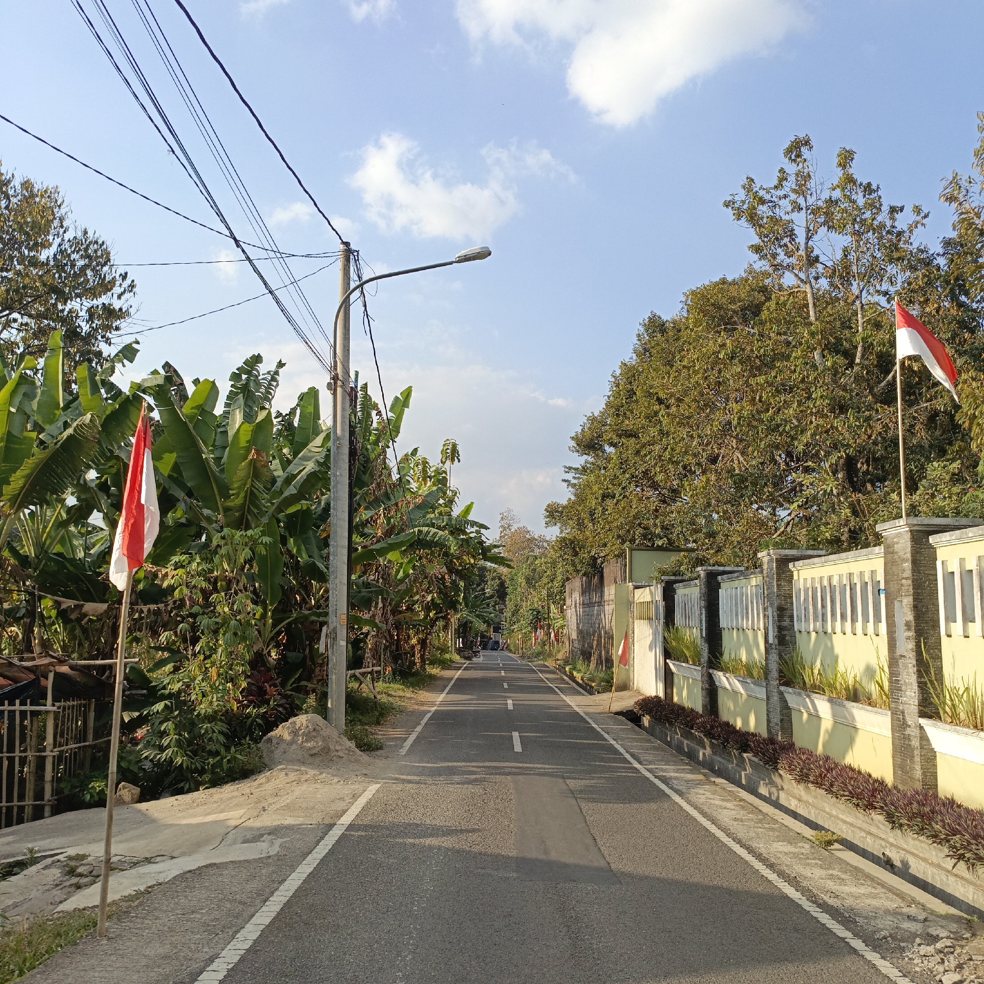 The image depicts a rural road in Salatiga, Indonesia, under a partly cloudy blue sky. The road, paved with asphalt and marked with white lines, stretches into the distance, lined on both sides by lush greenery, including banana trees and other tropical vegetation. A concrete wall, painted yellow and topped with decorative pillars, runs along the right side of the road. Indonesian flags, red and white, are prominently displayed on flagpoles on both sides of the road, suggesting a patriotic or commemorative occasion. Utility poles with numerous electrical wires are visible on the left side of the road. A street lamp is mounted on one of these poles. The scene appears quiet and serene, with no people immediately visible in the foreground, though a few vehicles can be seen further down the road. The lighting suggests it is either early morning or late afternoon, given the long shadows cast by the trees and poles.