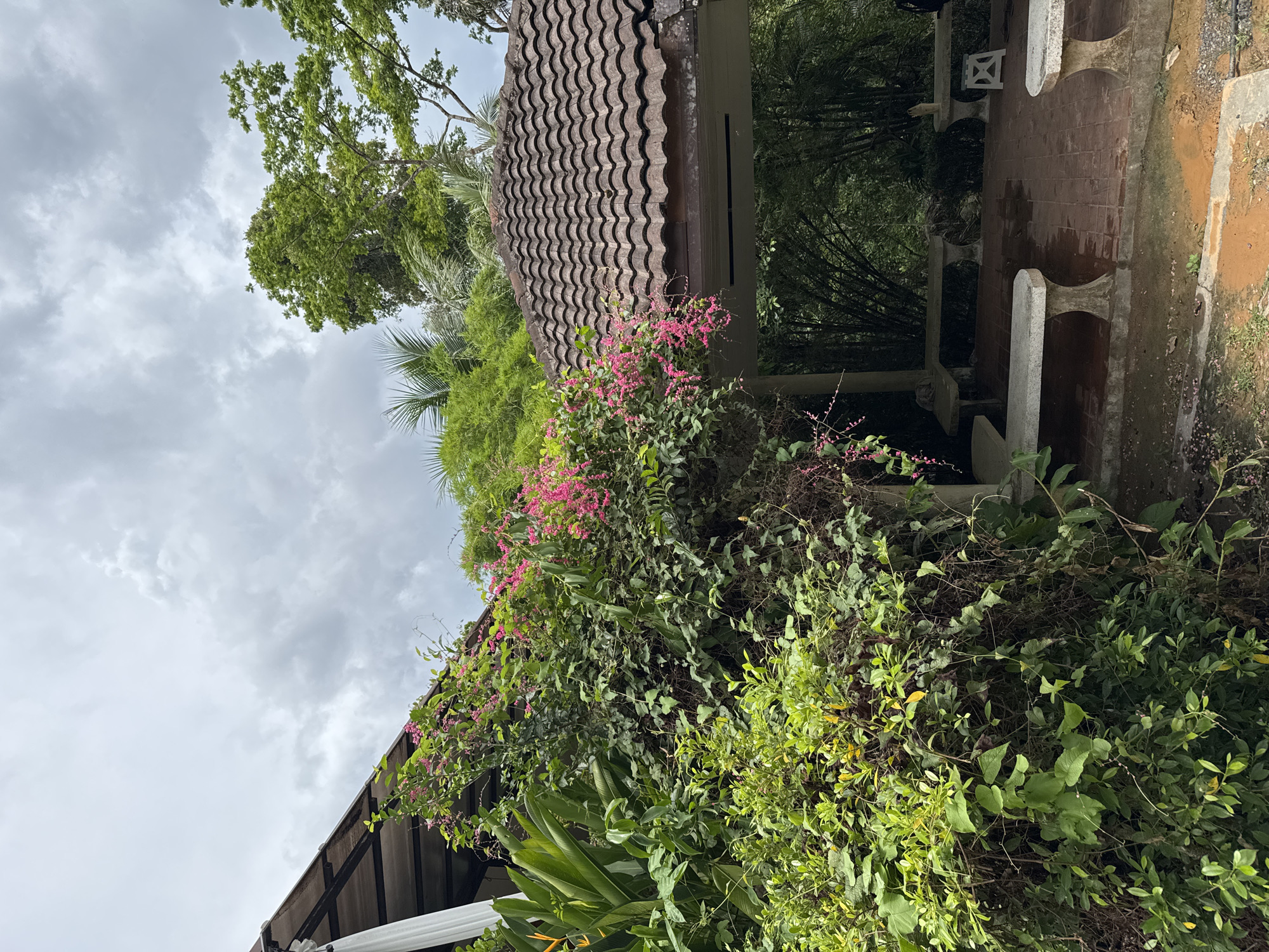 The image shows a scene in Kathu, Thailand, featuring a gazebo or covered walkway with a tiled roof partially obscured by lush greenery, including flowering vines with pink blossoms. The structure is situated on a paved area of red bricks and is lined with white benches or columns. The vegetation is dense, and various plants and trees are visible, some of which extend to the roof of the structure. The sky is overcast with cloudy conditions.