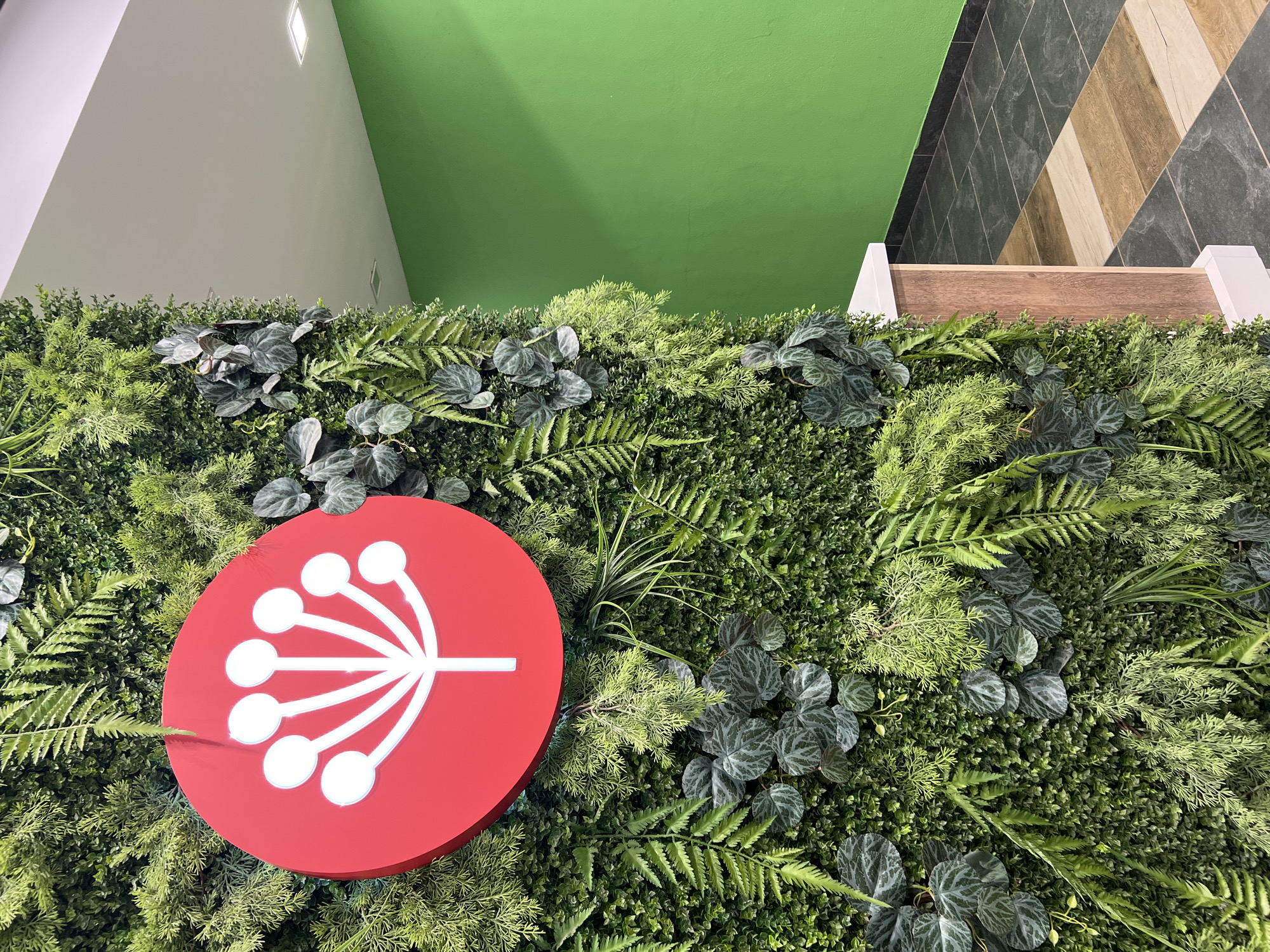 An interior architectural scene in Unknown, Unknown, features a prominent artificial green wall spanning the left side and foreground. This wall is densely covered with various synthetic plant species, including small, tightly packed foliage, fern fronds, and broader leaves exhibiting distinct silver patterns. Centered on the green wall is a circular red sign displaying a white, stylized botanical symbol resembling an umbel or a cluster of small berries on stems. To the right of the green wall, a solid lime green painted wall extends into the background. The white ceiling above contains visible square recessed light fixtures. The floor is composed of dark gray, large square tiles, transitioning into a section of light and dark brown wood-look rectangular tiles arranged linearly. A counter or partition structure with a white top surface and a light brown wood-grain side panel is partially visible at the lower right, abutting the green wall. No individuals or active events are present within the frame.