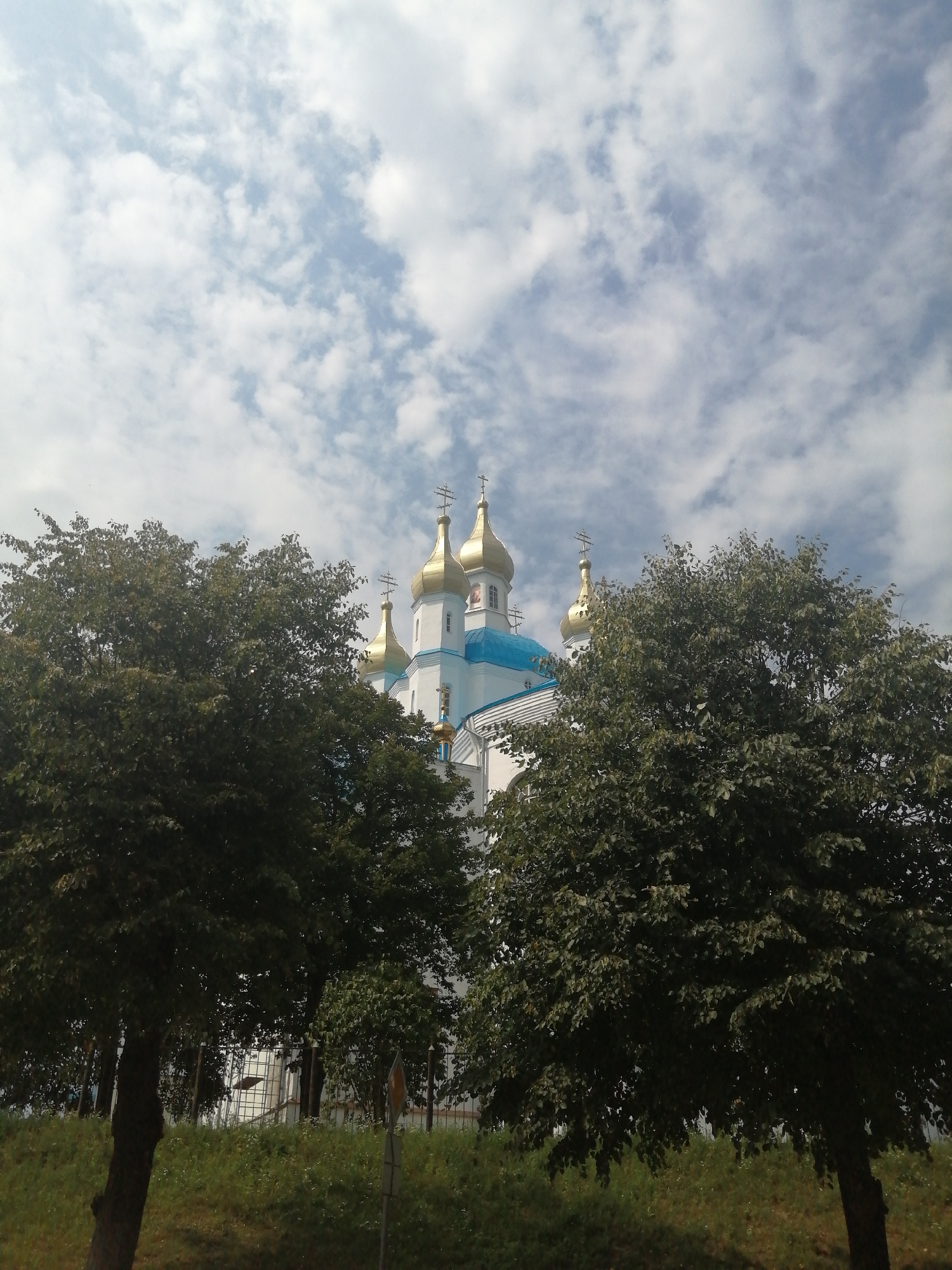 The image depicts a low-angle view of a white church with blue roofing and gold domes, topped with crosses, against a sky filled with white clouds. The church is partially obscured by the foliage of two large green trees in the foreground. The trees are positioned on a grassy slope that leads down to an area with more vegetation and a visible fence. The scene appears to be outdoors in a park or natural setting, possibly on a sunny day given the bright sky. The church's architecture suggests a place of worship, likely an Orthodox Christian church. The overall impression is one of a serene and somewhat tranquil scene. The church in the image is the Transfiguration Cathedral in Slonim, Belarus.
