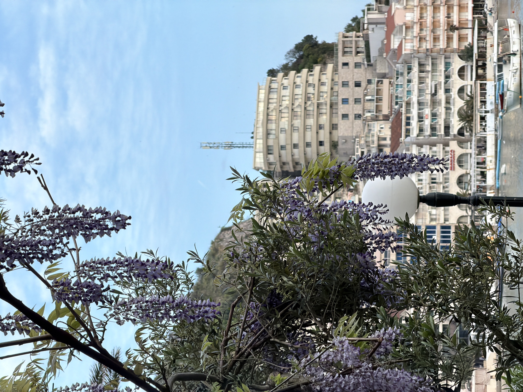 The image shows a view of Bečići, Montenegro, featuring buildings, flowering plants, and a street lamp against a backdrop of a partly cloudy sky. A cluster of purple wisteria flowers dominates the foreground. Behind the flowers, a white spherical street lamp attached to a black pole is visible. The background shows a densely built environment with a variety of buildings, including a multi-story, rounded building. Some buildings appear to be apartments with balconies. In the far background, the edge of a water body is partially visible with boats docked along the shore. The image is taken from a slightly low angle, with the camera tilted upwards. The lighting is natural and seems to indicate daylight. The image composition focuses on the interplay of natural elements and urban architecture.