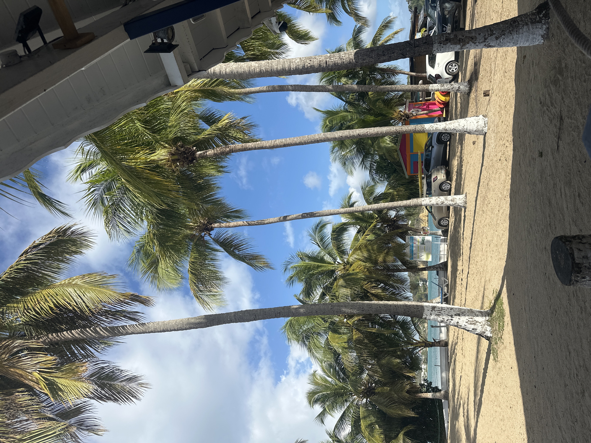 The image shows a line of palm trees along a sandy beach, possibly in Le Gosier, France, based on the prompt. The trees have white-painted trunks. The sky is blue with scattered clouds. Vehicles are parked behind the trees. A building is visible on the left side. The overall scene depicts a beach landscape with a combination of natural and man-made elements.