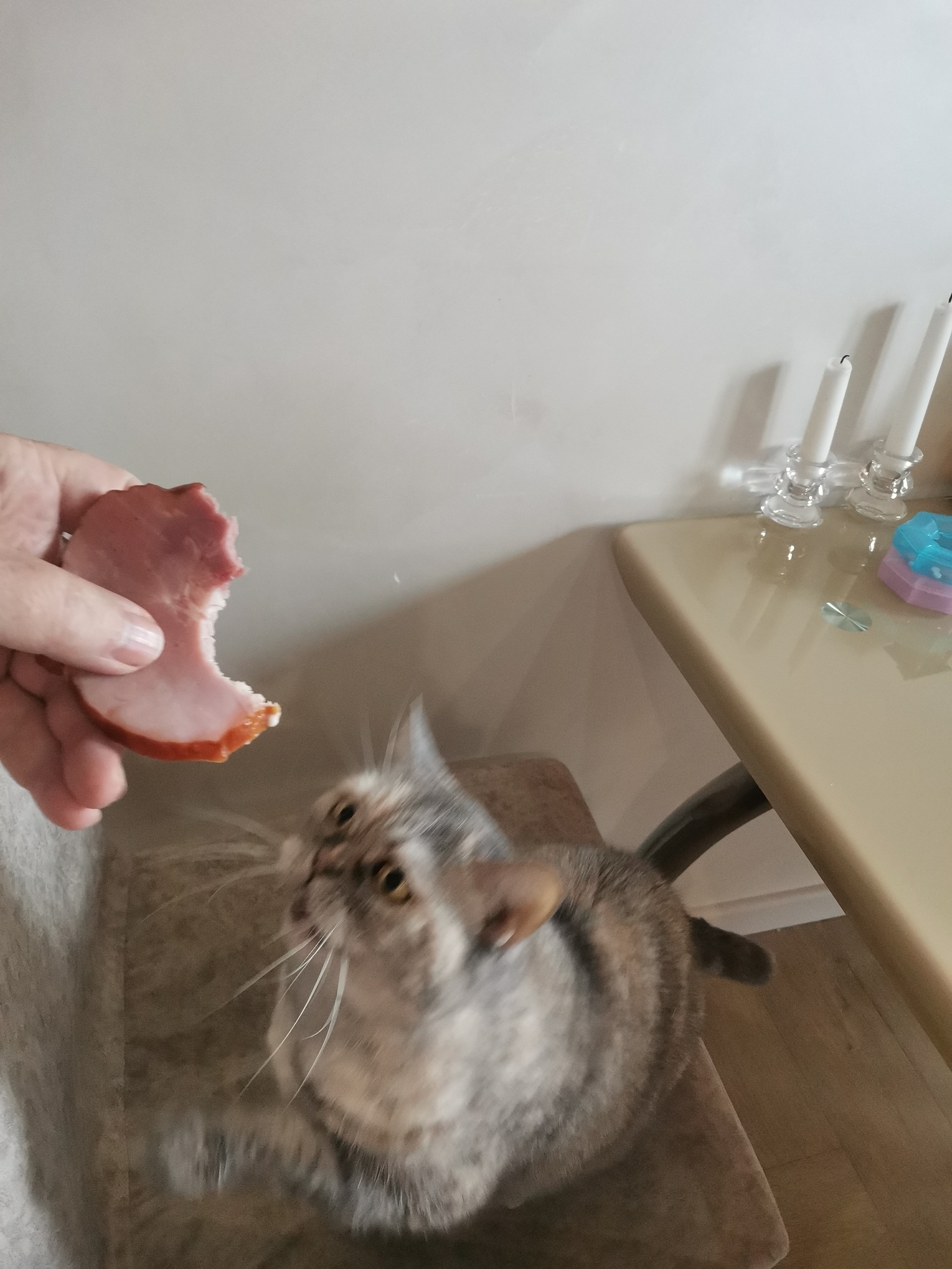 An indoor scene depicting a person's hand holding a piece of ham towards a cat. The cat, a gray tabby with yellow eyes, is blurred due to motion, with its head and front paws visible. The cat appears to be reaching for the ham. In the background, a table with several white candles in glass holders and some small, stacked objects are visible. The wall is a plain, light color. The image is taken from a slightly elevated perspective. The location is not specified in the image itself.