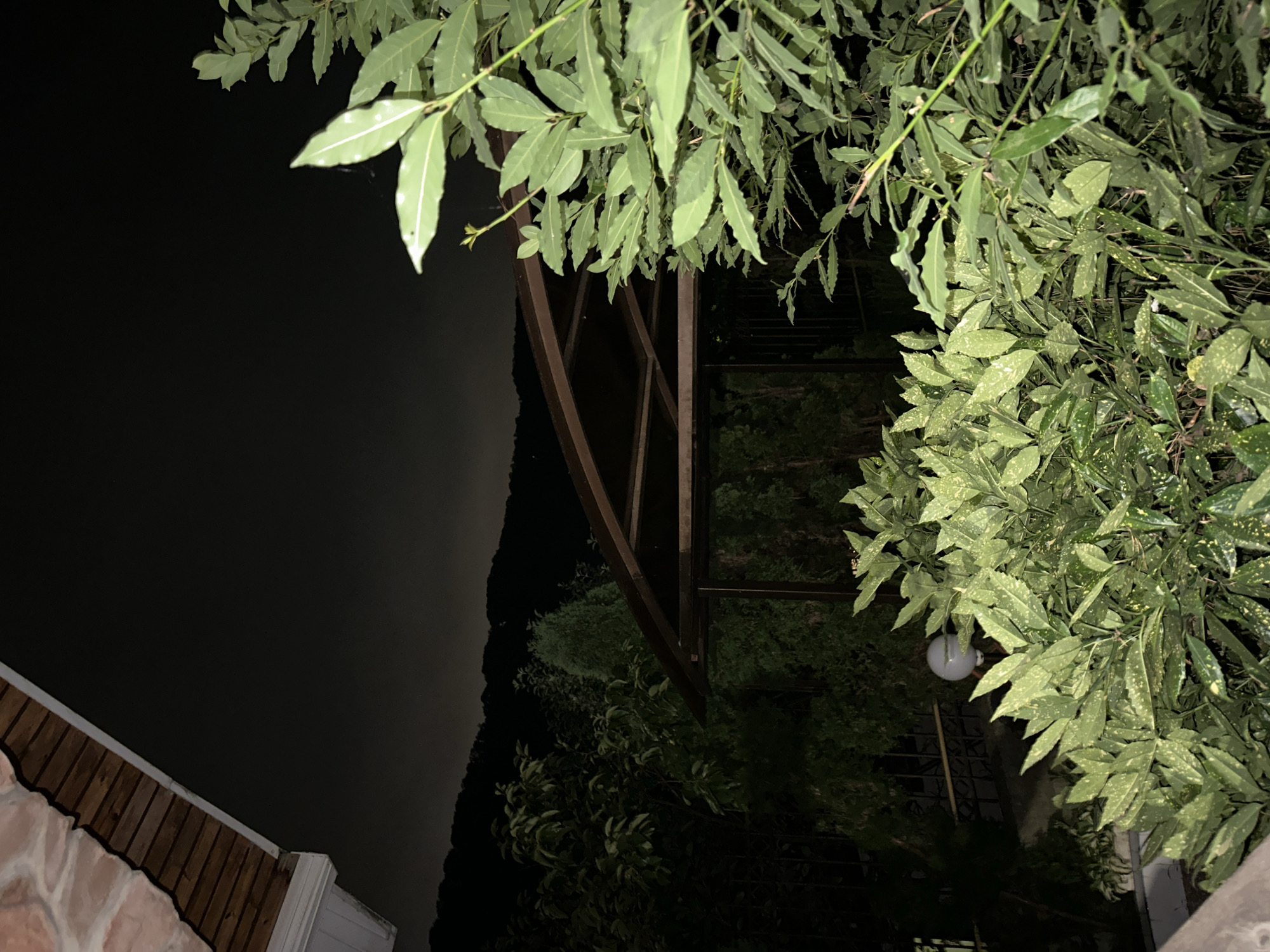 The image shows a nighttime scene outdoors, likely in Sochi, Russia, given the presence of lush foliage and mountainous background. In the foreground, there are several large leafy plants, one of which is a bay laurel tree with dark green, glossy leaves. Behind these plants, a wooden-framed gazebo with a brown roof is visible, and beyond that, a dark, forested hillside can be seen under a cloudy, dark sky. A portion of a wooden roof overhang with stone accents is visible in the upper left corner, suggesting the viewpoint is from a balcony or porch. The lighting is dim, indicating it is either very late at night or the area is unlit, with the exception of a small, round light fixture visible amidst the foliage in the middle ground. The overall impression is one of a quiet, residential outdoor space at night.