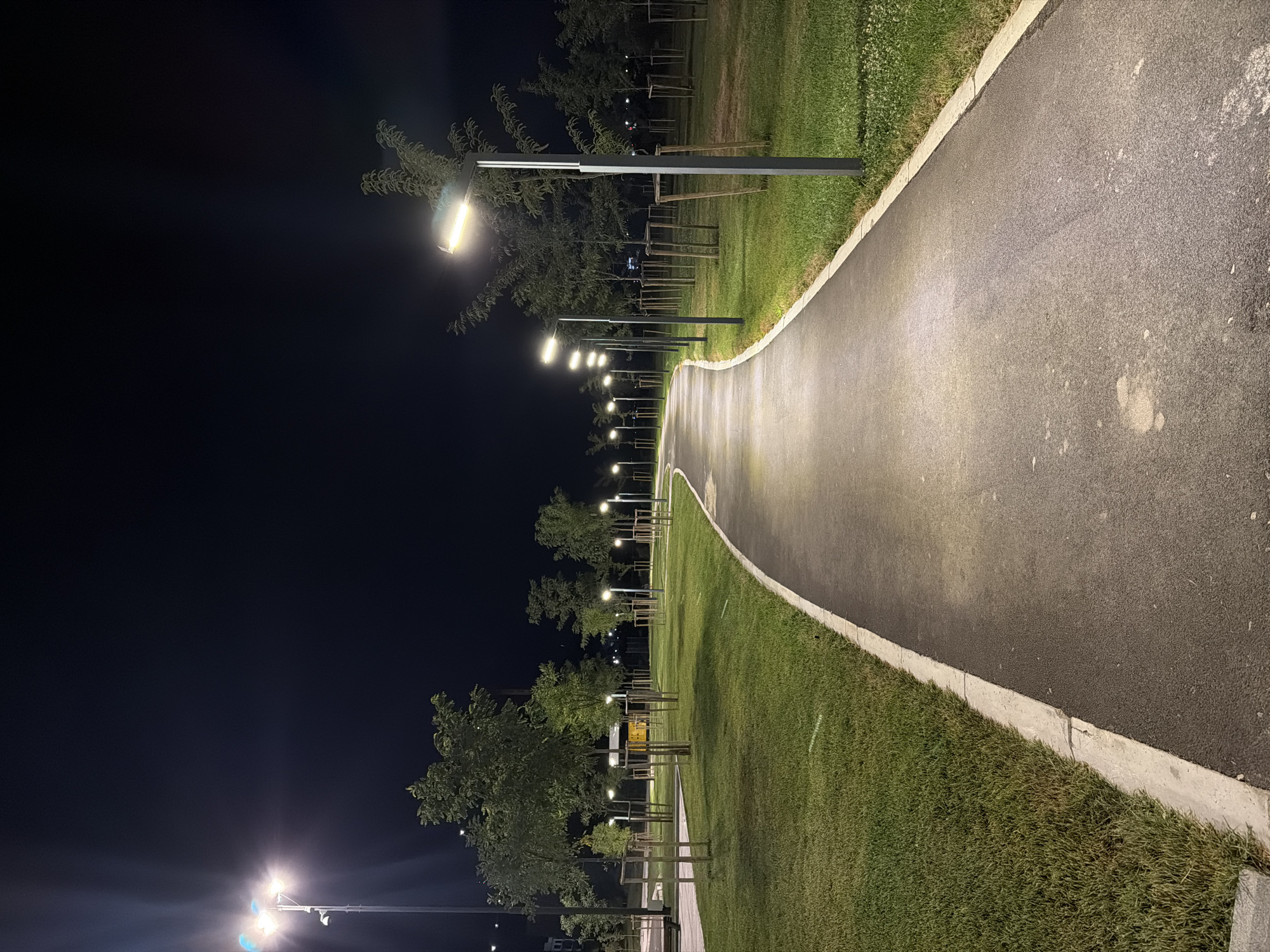 A curved, asphalt pathway illuminated by streetlights winds through a park at night. The pathway is bordered by manicured green grass. Young trees, supported by wooden stakes, are planted in neat rows on either side of the grass. In the background, more streetlights are visible, casting a warm glow on the trees and grass. The sky is dark and clear. The scene appears serene and well-maintained, suggesting a public park designed for evening use. The city of Chinarkent, Uzbekistan, is not depicted in the image.