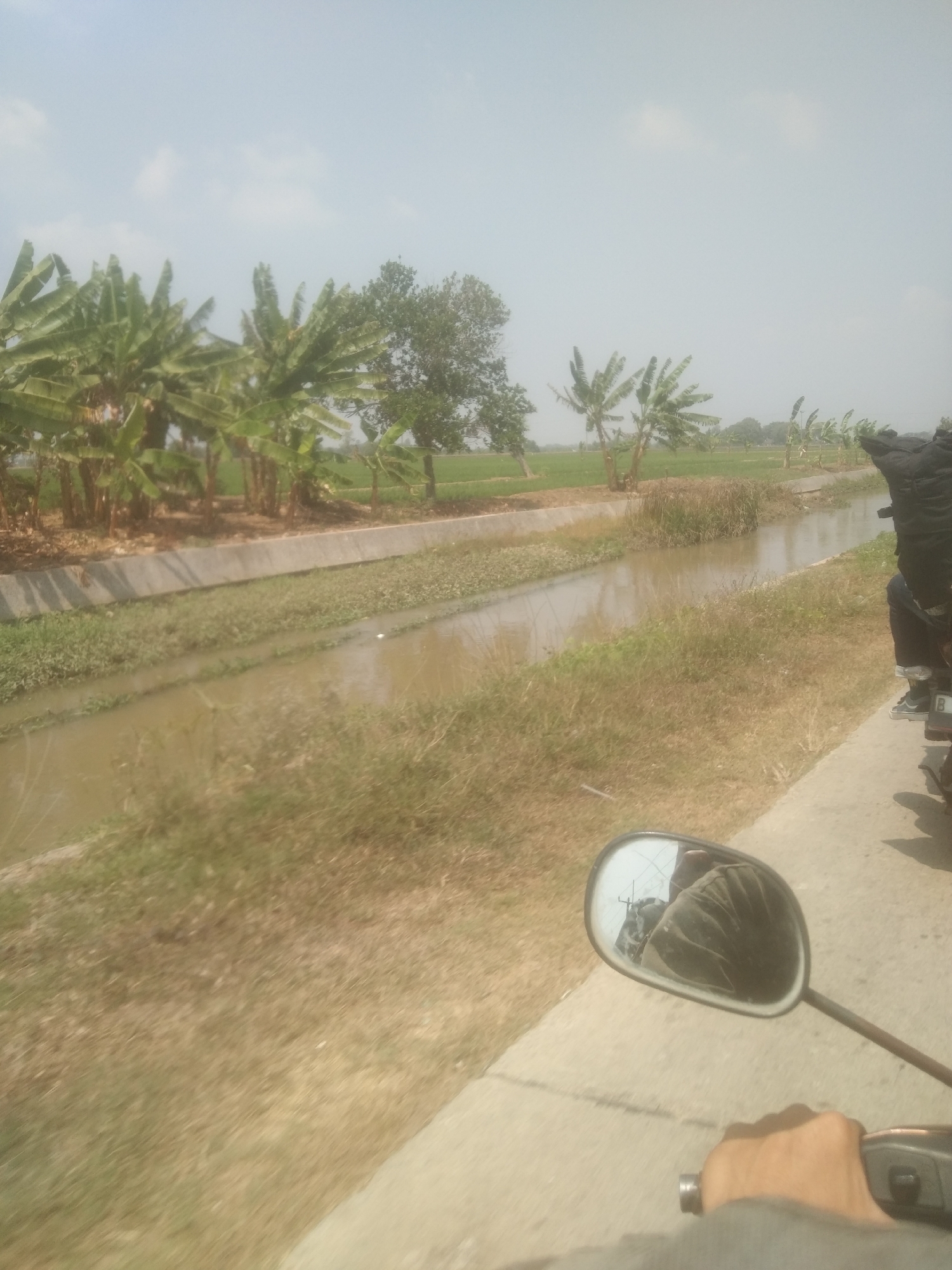 The image shows a view from a moving motorcycle in Desa Cilandak, Indonesia. The scene is dominated by a waterway on the left, with concrete banks and aquatic plants. Beyond the waterway, there are rows of banana trees and other vegetation. The sky is light blue with a few faint clouds. In the foreground, a hand is visible on the motorcycle's handlebar, and a mirror reflects the driver's torso and the surrounding environment. On the right side of the image, a person wearing a dark jacket and blue pants is seated on the motorcycle. The ground surface is paved, suggesting a road or path. The overall impression is of a rural or semi-rural landscape under a bright, possibly hazy, sky.