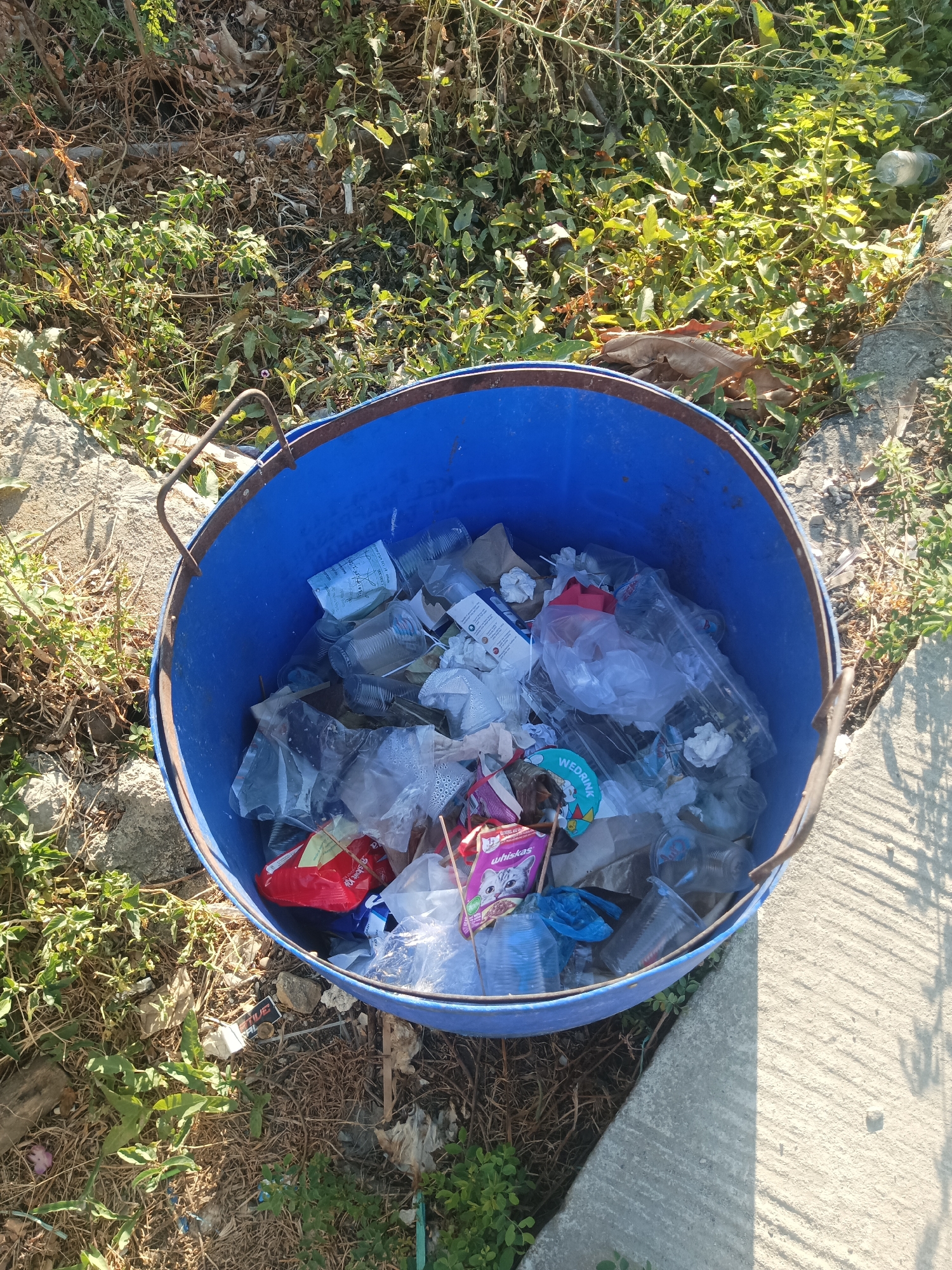 An outdoor, high-angle, medium shot shows a blue plastic trash bin overflowing with garbage. The bin is positioned on a concrete pathway, adjacent to an area of dry grass, weeds, and fallen leaves. The surrounding vegetation is a mix of green plants and dry, brown debris. Sunlight casts a shadow from a nearby object onto the concrete. The contents of the bin include numerous clear plastic cups, plastic bottles, crumpled plastic bags, and some paper waste. A red wrapper with a white label and a pink package with a cat image are also visible among the trash. The bin has two metal handles attached to its rim. The scene is located in Pangkajene, Indonesia, suggesting an urban or semi-urban outdoor setting.