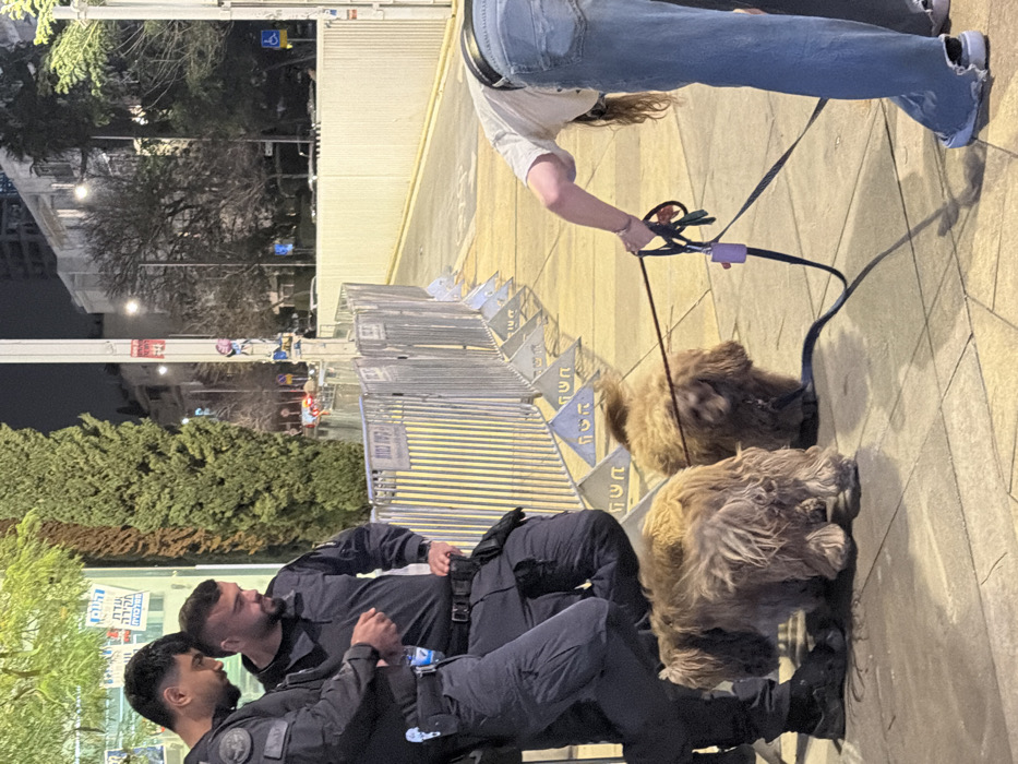 Two police officers in black uniforms stand close, engaged in conversation on a sidewalk. A line of metal barriers with blue triangular elements separates the officers from a paved area. A person wearing jeans holds two dogs on leashes, partially visible above the barrier line. The setting appears to be a city street at night, with buildings and trees visible in the background.