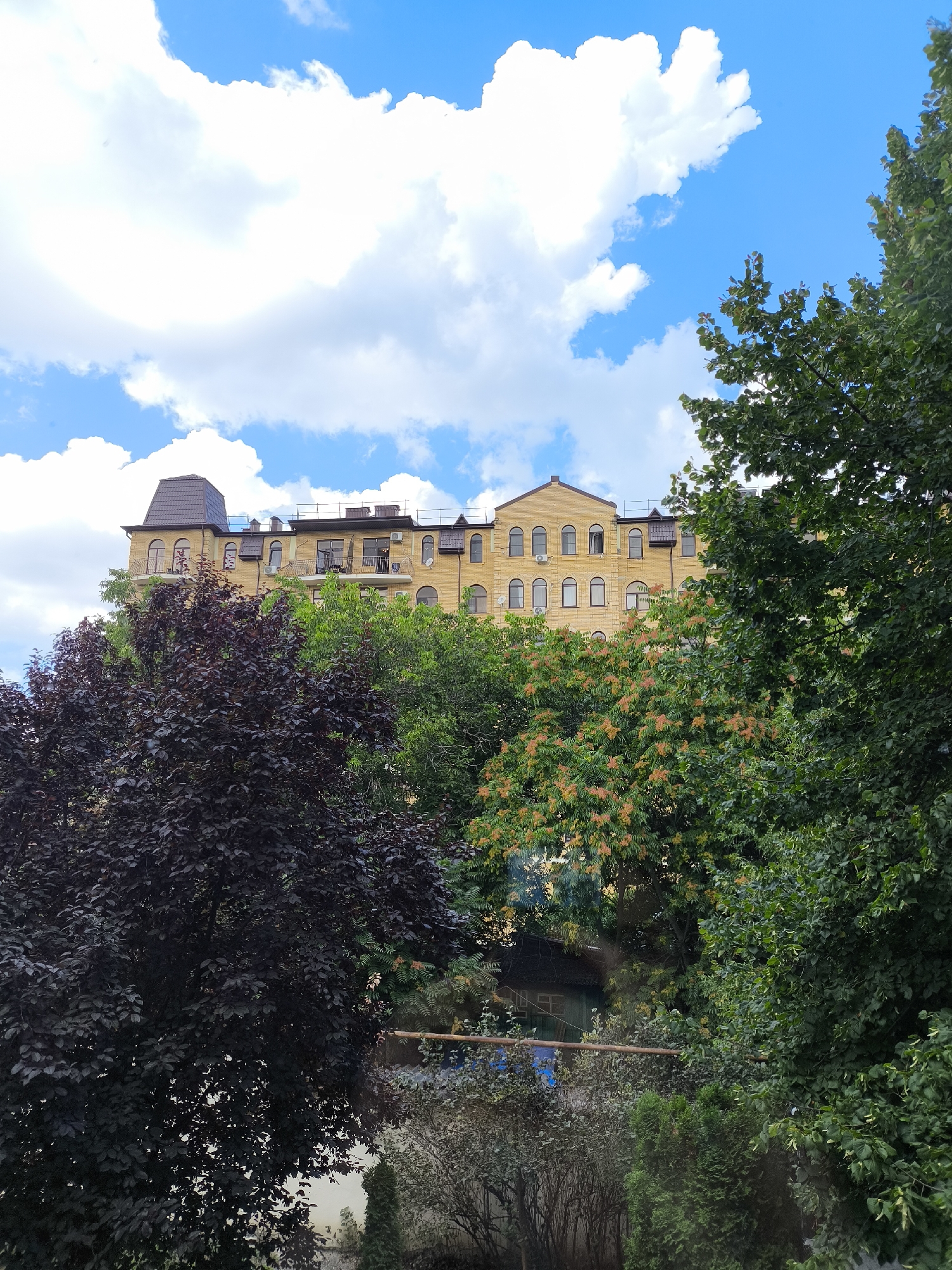 A light yellow, multi-story building with a dark brown mansard roof and arched windows sits atop a hill, surrounded by lush green trees and a vibrant blue sky with white clouds. The building features balconies with ornate railings on multiple levels. In the foreground, a dark purple-leaved tree dominates the left side of the frame, with more green foliage to its right. A wooden pipe or beam runs horizontally across the lower portion of the image, partially obscured by trees and vegetation. The scene appears to be a natural setting within a city.