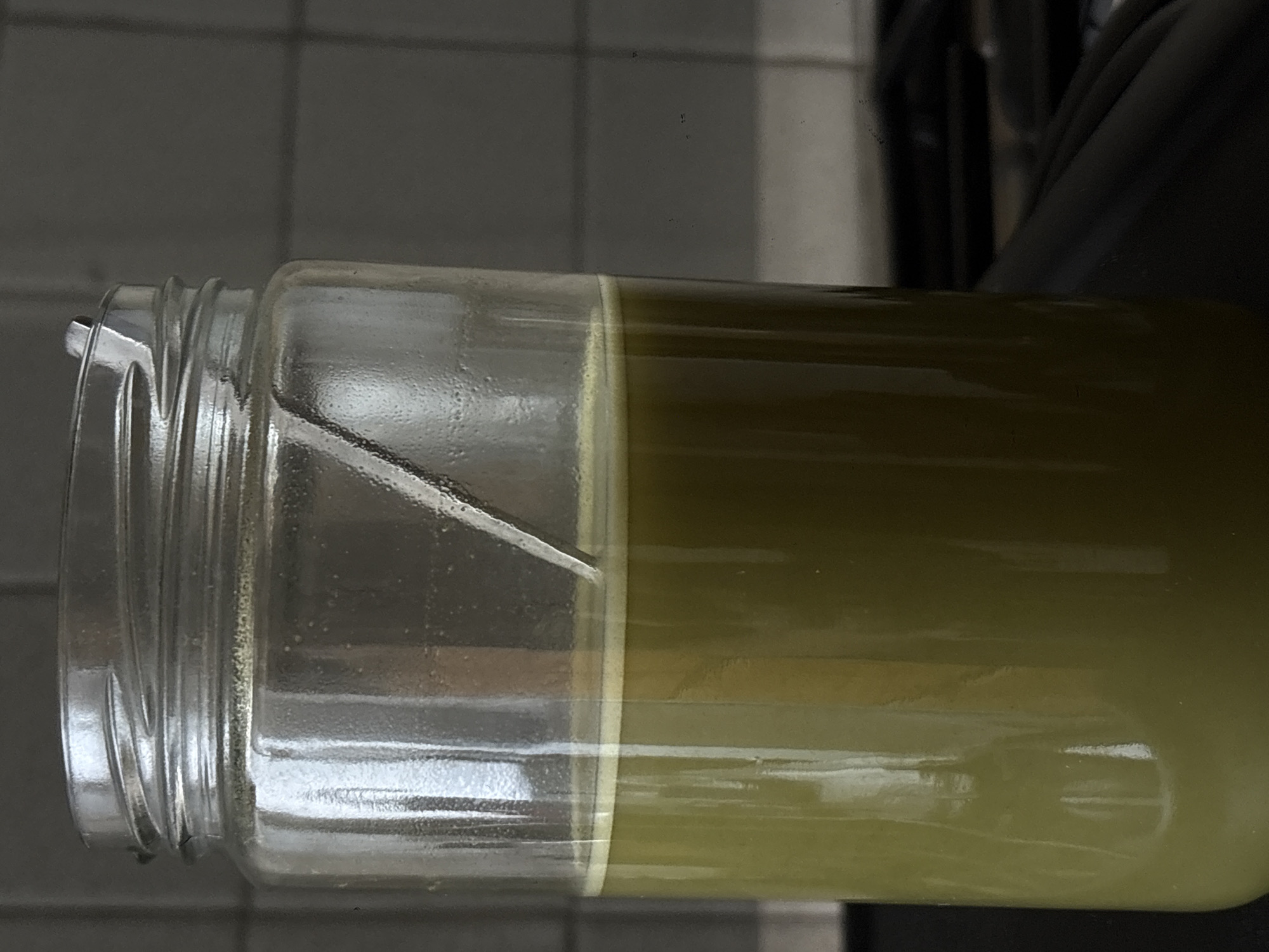 A clear glass jar lies horizontally, partially filled with a light green liquid. The jar's threaded neck is visible on the left, with a thin, white object projecting slightly from the opening. The background includes light gray tiles and a portion of a dark object, potentially part of an appliance or furniture. The scene's location in Mexico City, Mexico, is not discernible from the visual information provided.