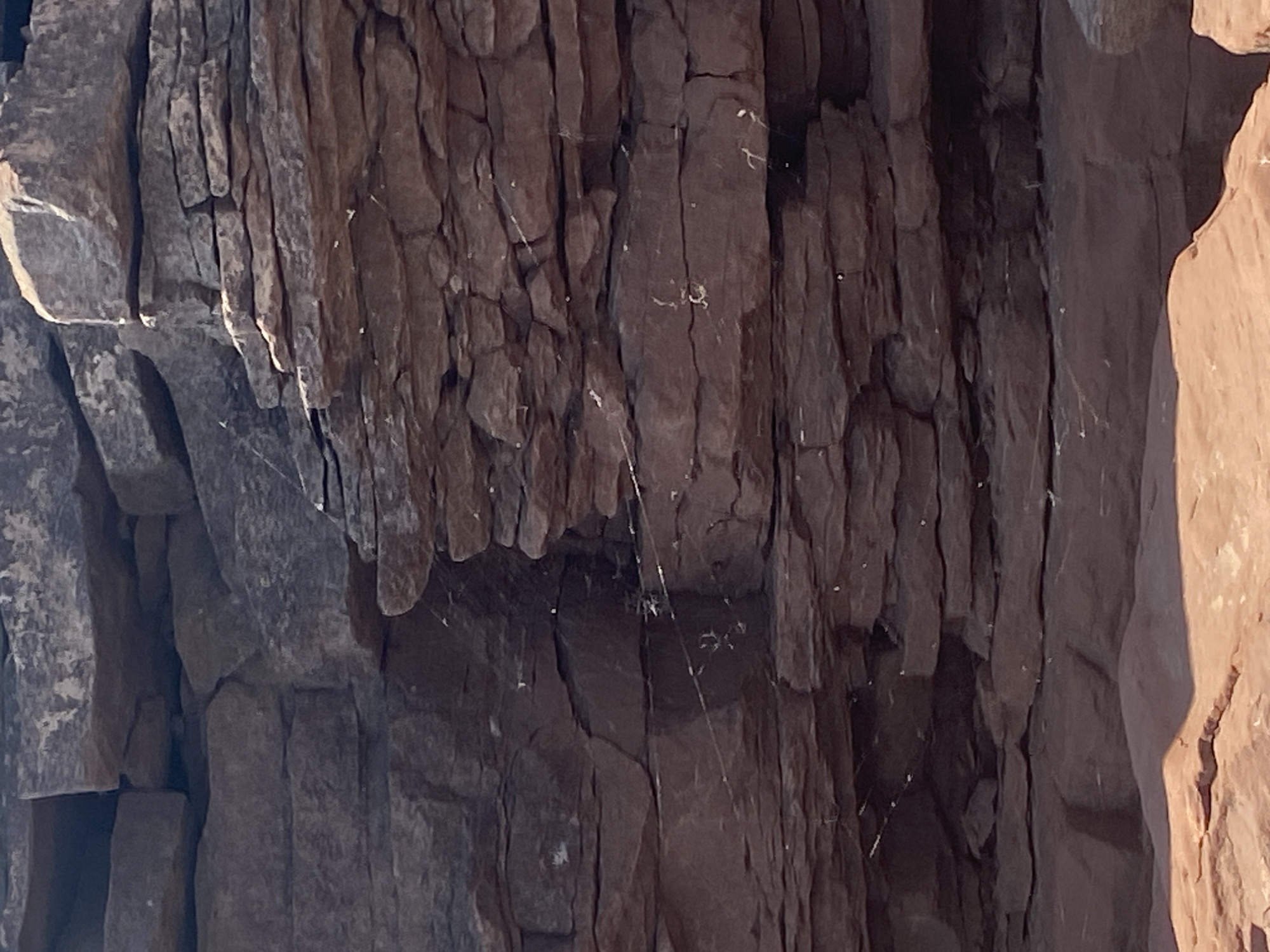 The image shows a close-up view of layered rock formations, likely sandstone, with a reddish-brown hue. The rocks are stacked horizontally, creating distinct ledges and crevices. Fine, white strands, possibly spiderwebs, are visible catching the light across the rock surfaces, with a few tiny specks that might be insects or debris caught in the webs. The foreground features a lighter-colored, rougher rock surface. The scene appears to be outdoors, under natural lighting, and there are no people or man-made structures visible. The location in Ust'-Erba, Russia, is not discernible from the visual information provided in the image itself.