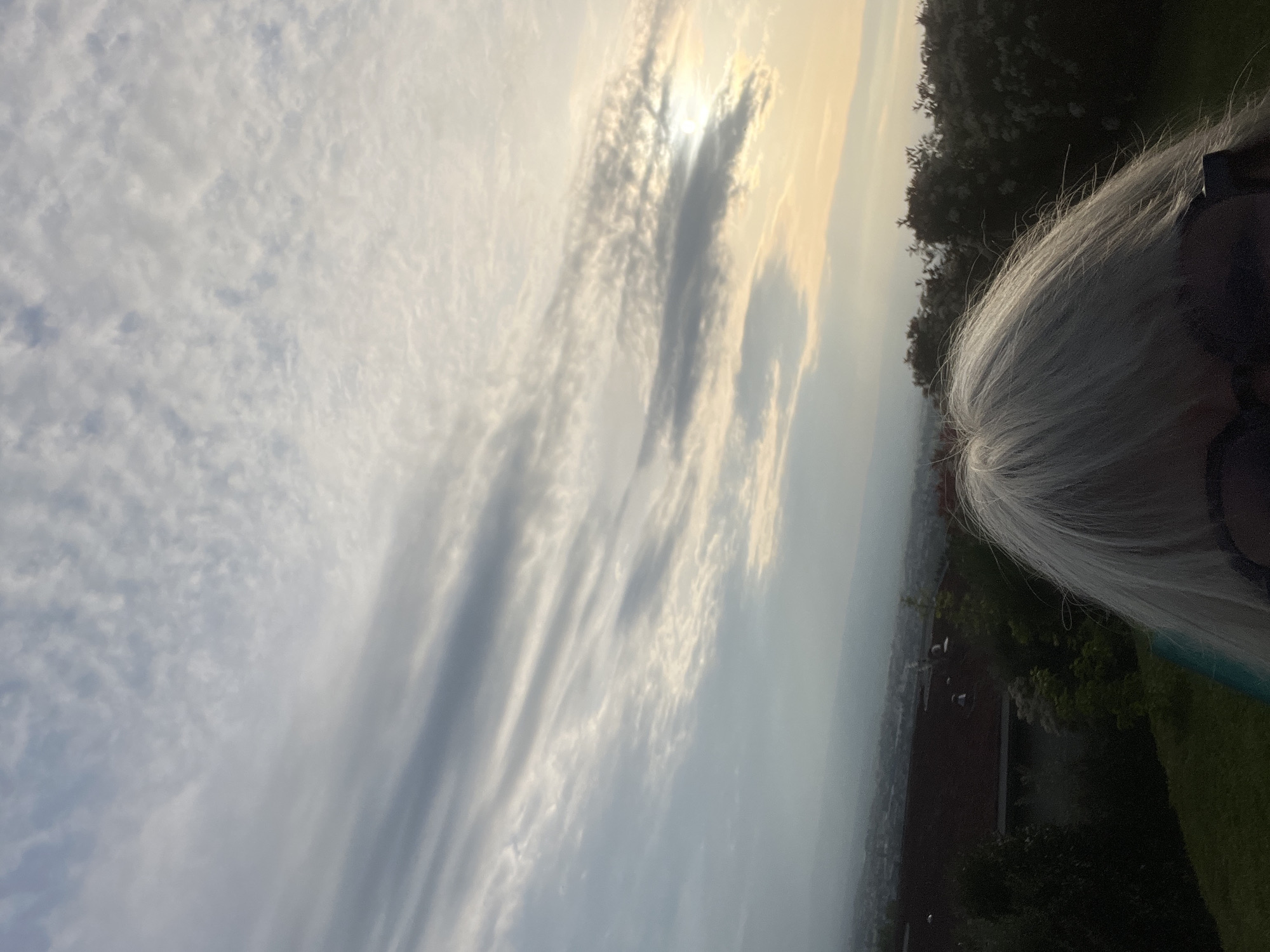 The image displays a sky scene with a person's head visible along the right edge. The person is seen from behind, with their head angled slightly downward and away from the camera, revealing distinct grey or white hair. The majority of the frame is dominated by the sky, filled with various cloud formations.
Towards the upper-middle of the image, the sun shines brightly through elongated, streaky clouds, creating a strong, warm glow that transitions from brilliant white at its core to soft yellows and oranges. These clouds are layered, with some appearing dark in silhouette against the light, while others are illuminated from within. The left and upper portions of the sky feature a lighter, more diffuse cloud cover with patchy patterns.
Below the person's head and extending towards the bottom-right, a distant landscape or townscape is faintly visible through a light haze, outlined by a line of darker trees or bushes along what appears to be a distant horizon. A small patch of green grass is discernible in the very bottom-right corner of the frame.
The light quality suggests either an early morning sunrise or a late afternoon sunset, with the sun positioned relatively low, filtering through the clouds. The person appears to be observing the sky and distant view. The image is presented horizontally but captures a scene that would typically be viewed vertically. No text is visible in the media file. The location context provided is Chambœuf, France.