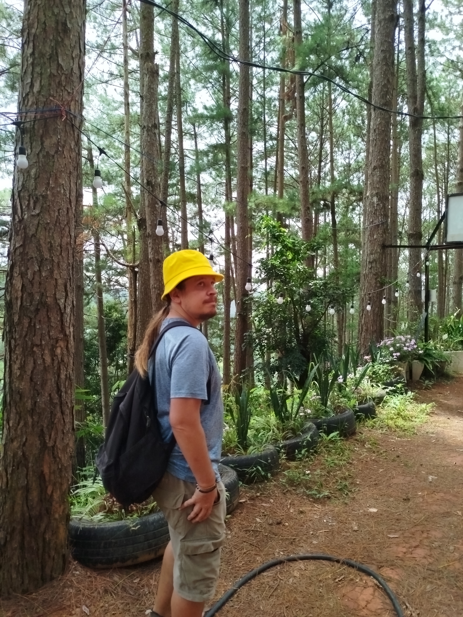 The image depicts a man standing in a forest with tall pine trees. He is wearing a blue t-shirt, khaki shorts, and a yellow bucket hat. A black backpack is slung over his left shoulder. His hair is long and tied back. He is looking to his right, with a thoughtful expression on his face.
The forest floor is covered with pine needles and dry leaves. There are several old tires that have been repurposed as planters, with various plants growing in them. String lights with bare bulbs are strung between the trees, suggesting the area might be a cafe or a recreational spot. In the background, there are more trees and lush greenery. The lighting suggests it is daytime, possibly overcast or late afternoon, as the light is diffused. The overall scene evokes a serene and natural atmosphere with a touch of bohemian decor.
The location context is Da Lat, Vietnam, a city known for its pine forests and cool climate.