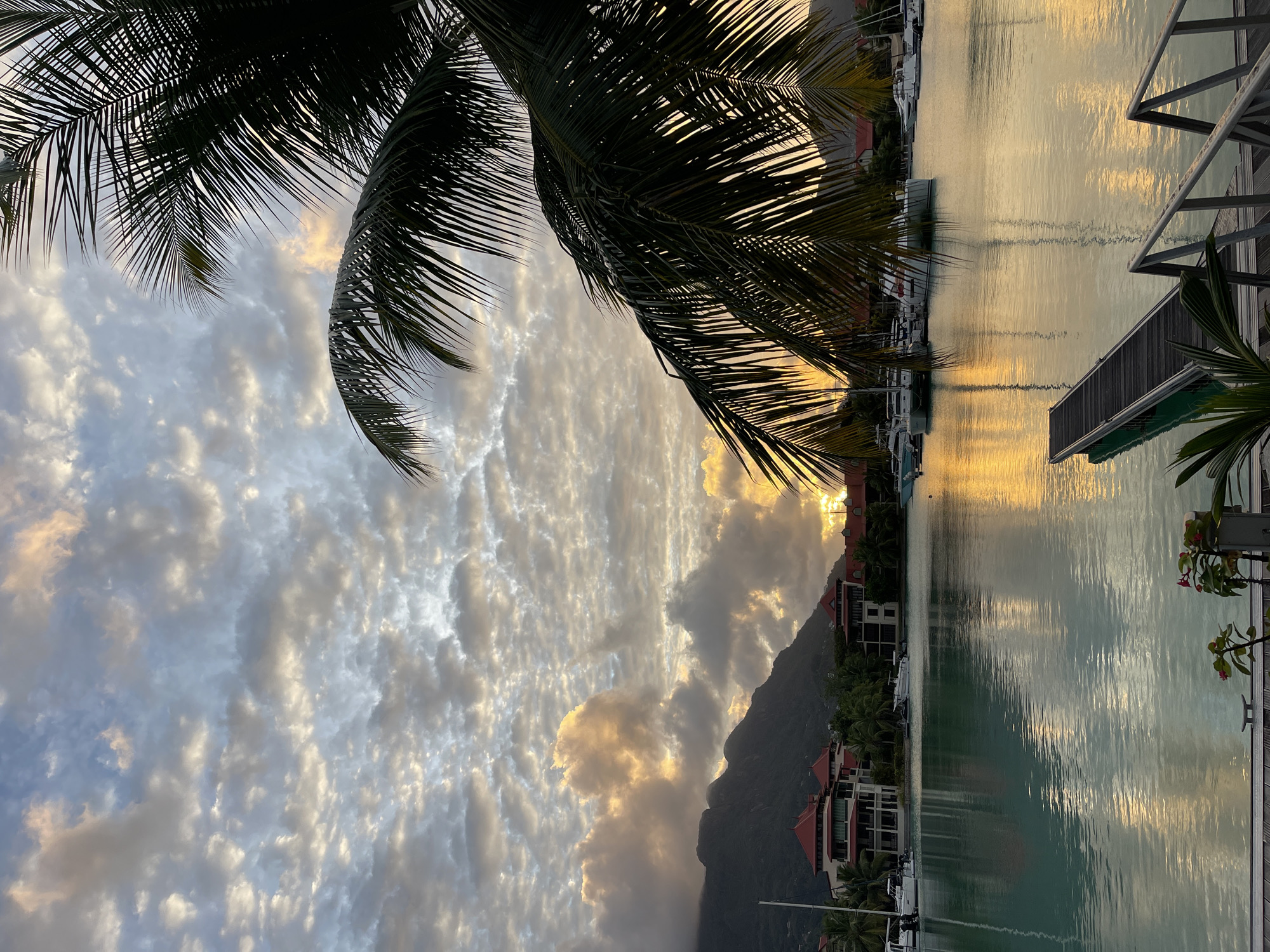 This image depicts a tranquil marina scene at sunset in Providence, Seychelles. The sky is filled with a dramatic display of clouds, illuminated by the warm hues of the setting sun, ranging from soft yellows and oranges to cooler blues and grays. Silhouetted palm fronds frame the top right portion of the image, adding a tropical element.
In the middle ground, several buildings with red-tiled roofs are visible along the waterfront, suggesting a residential or resort area. A calm body of water, likely a channel or harbor, reflects the colors of the sky and the surrounding structures. Moored in the water are numerous sailboats and yachts, indicating a bustling nautical community.
In the foreground, a dark wooden pier with metal railings extends into the water, providing access to the boats. The water is a clear, turquoise color, with ripples creating a shimmering effect from the reflected sunlight. Some low-lying greenery and a hint of a plant with small pink flowers are present on the pier. The overall impression is one of peacefulness and natural beauty, characteristic of a tropical evening.