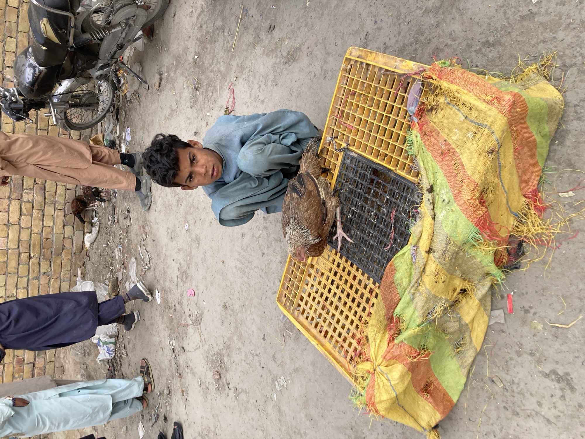 A boy in a light blue shalwar kameez crouches next to a yellow and black plastic crate containing a brown chicken in what appears to be a street setting in Quetta City Tehsil, Pakistan. The crate is partially covered by a striped yellow, green, and red sack. A motorcycle is partially visible in the upper left corner. There are several people standing around wearing traditional South Asian clothing; only their lower bodies are visible. The ground is concrete and littered with trash. A brick wall can be seen on the left side of the image.