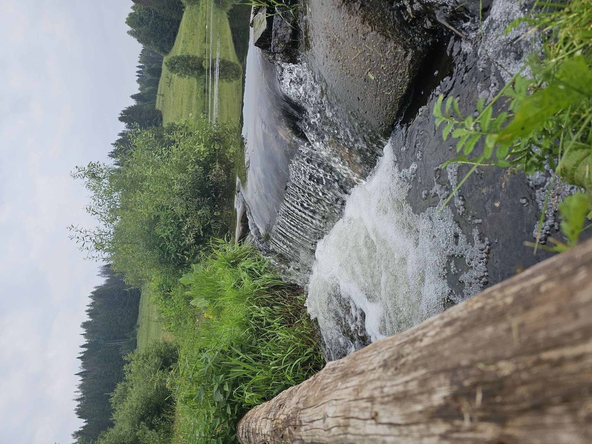 A low-angle, close-up shot captures a small waterfall flowing over rocks into a body of water, likely in Kalinovka, Russia. A large, weathered log lies in the foreground, partially obscuring the left side of the frame. Lush green grass and vegetation grow along the banks of the stream and surrounding the waterfall. In the background, a tranquil lake or pond reflects the overcast sky and is bordered by a rolling green hill dotted with trees and a dense forest. The scene is natural and undisturbed, suggesting a peaceful, rural setting.