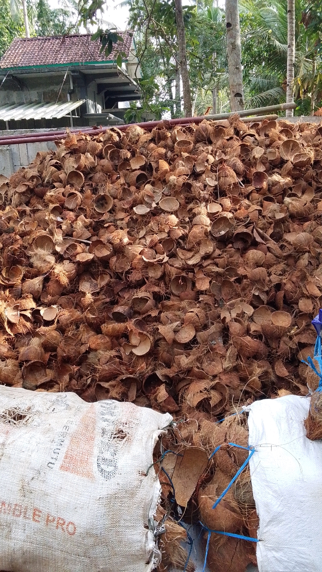 A large pile of coconut husks is visible in the foreground, with some of the husks in burlap sacks to the left and right. In the background, a house with a red tiled roof and gray walls is situated behind a concrete wall and a corrugated metal awning. Trees and foliage surround the house and the pile of husks, indicating an outdoor, possibly rural, environment. The scene is likely located in Parakanmanggu, Indonesia, given the context.