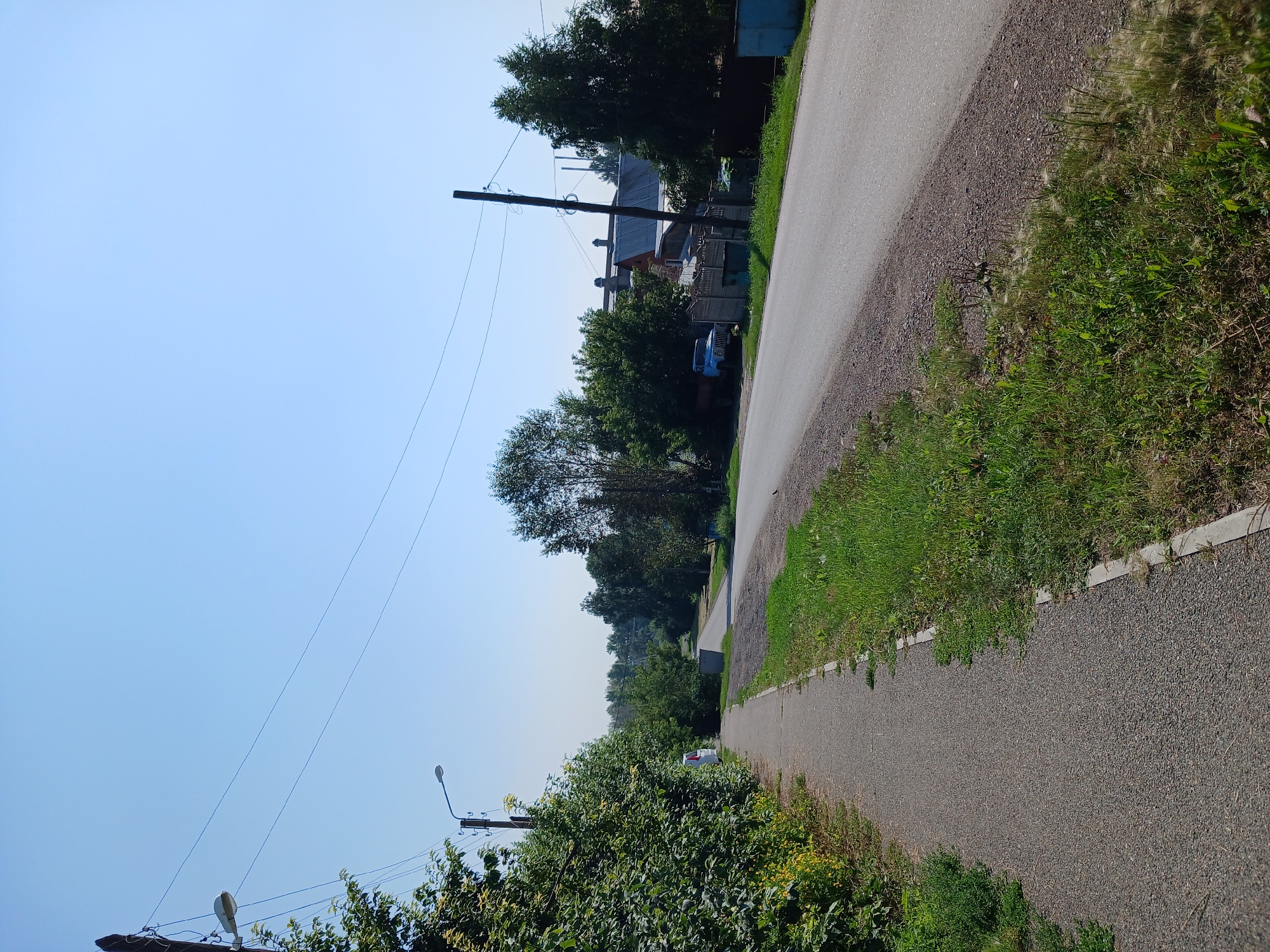 A paved sidewalk runs along the left side of the image, bordered by lush green bushes and some yellow wildflowers. A street lamp is visible on a pole above the bushes. The sidewalk leads into the distance, curving slightly to the right. The right side of the image features a paved road with a gravel shoulder. A strip of green grass runs alongside the road. Beyond the grass and road, there are houses with pitched roofs, trees, and more vegetation. A blue truck is parked on the side of the road near one of the houses. The sky is a clear, pale blue. The scene depicts a quiet, rural or suburban street on a sunny day.
