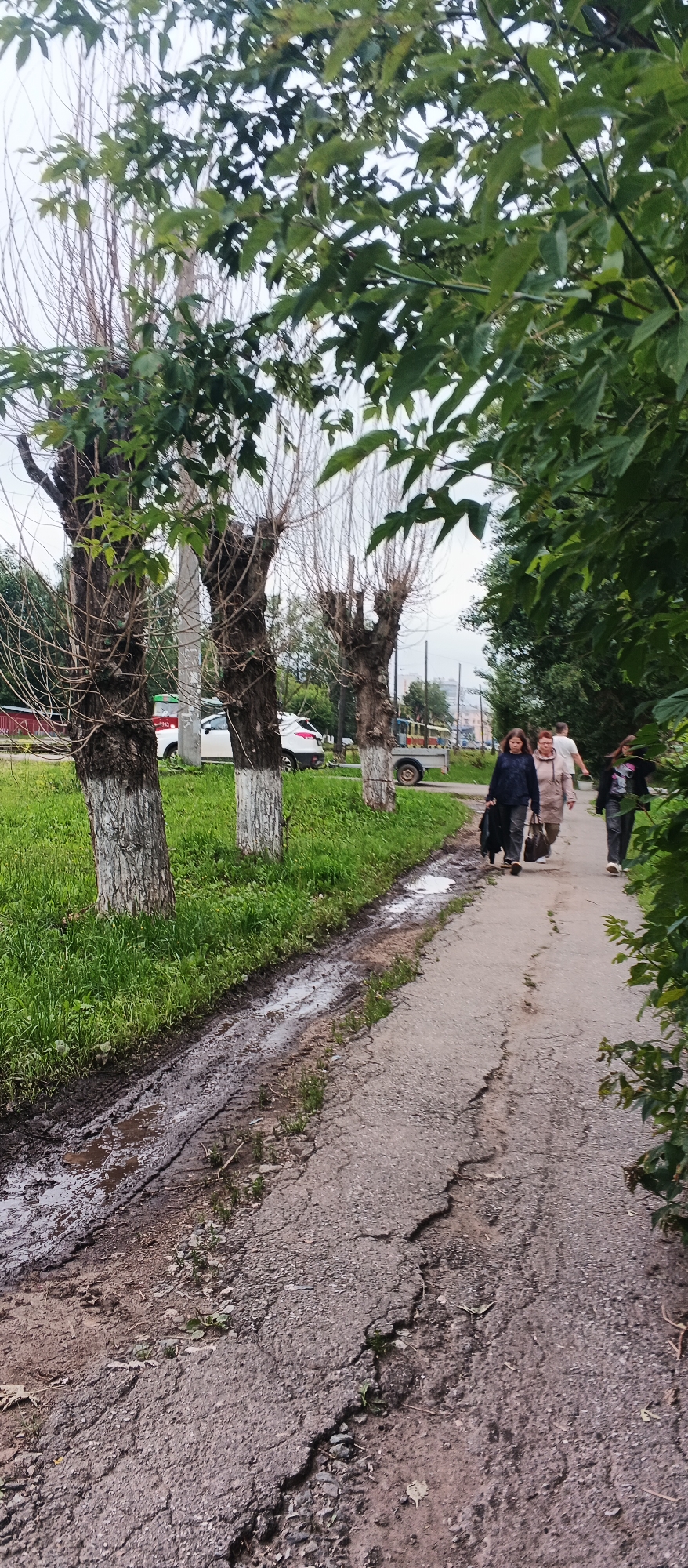 The image shows a cracked asphalt pathway adjacent to a grassy area with several trees that have been pruned into distinctive shapes. A muddy ditch runs alongside the pathway, containing standing water and tire tracks. In the background, a white SUV is parked near a red building, and a yellow trolleybus is visible further down the street. Four individuals are walking along the pathway, appearing to move away from the viewer. Three women and one man are present. The woman in the foreground, on the left, is wearing a dark hooded sweatshirt and carrying a dark bag. To her right, a woman in a light-colored jacket and dark pants walks with her head down. Behind them, a man wearing a light-colored shirt and dark pants is walking, and another woman in a dark top and dark pants is walking slightly ahead and to the right. The sky is overcast. The scene depicts an ordinary urban environment, possibly a residential street or park area in Izhevsk, Russia, characterized by its weathered pathway, manicured trees, and everyday pedestrian activity.