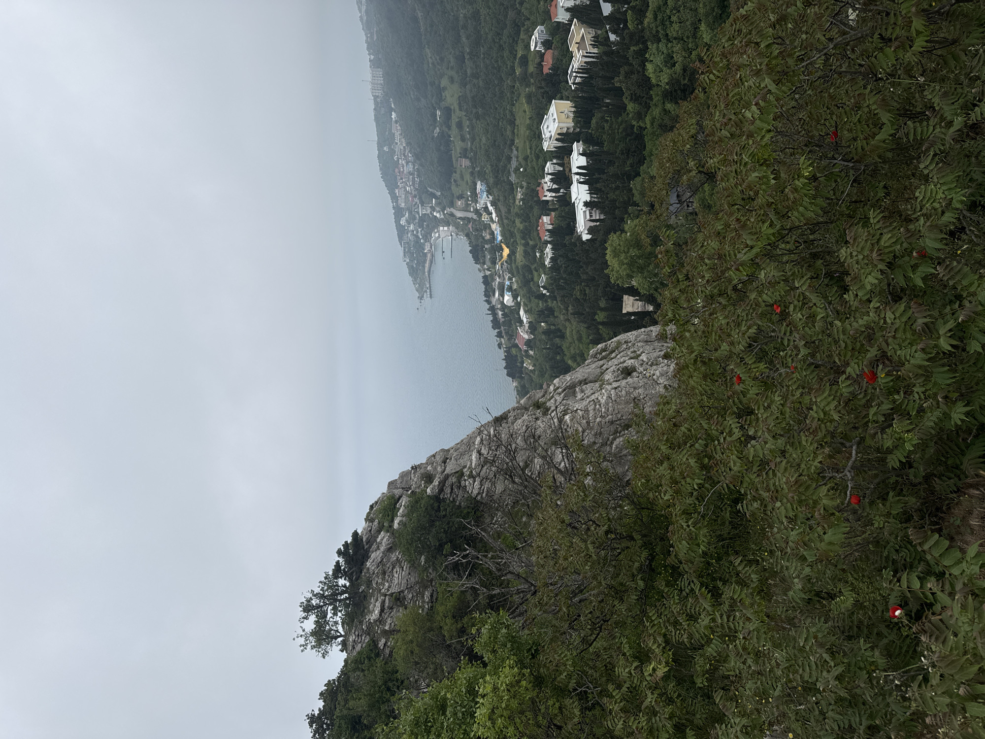 The image depicts a landscape in Симеизский поселковый совет, Ukraine. In the foreground, a rocky cliff is covered with lush green vegetation, including bushes and trees, with some red flowers visible. The background features a body of water, likely a sea or bay, which is partially obscured by a hazy or foggy sky. A town or settlement stretches along the coastline, characterized by buildings of varying sizes and colors interspersed among trees. The overall scene suggests a location on a high elevation overlooking a coastal area with a mix of natural and built environments.
