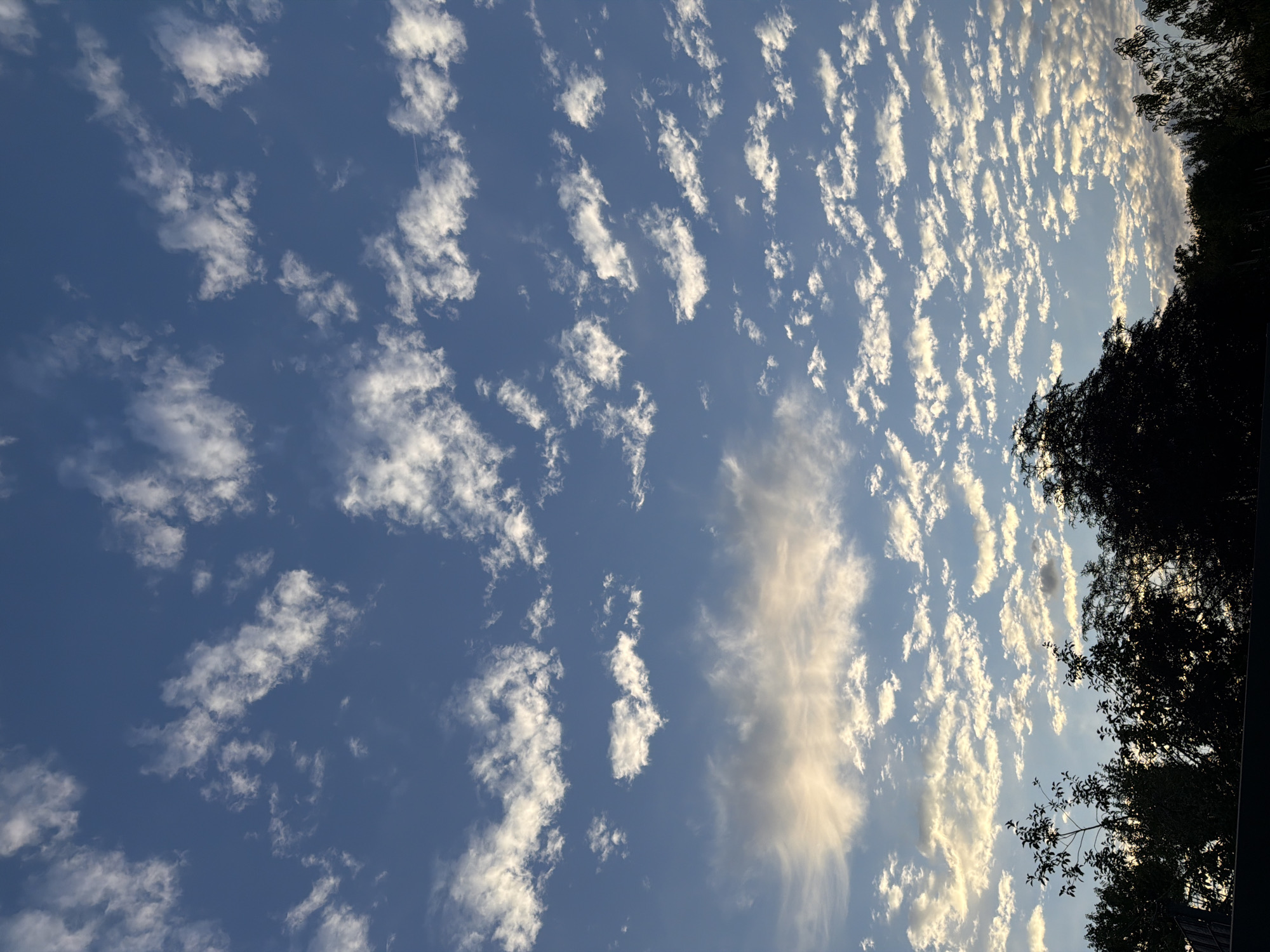The image captures a sky view over Junglinster, Luxembourg, dominated by a vibrant blue sky filled with numerous small, scattered white clouds. These clouds are arranged in a distinct pattern, resembling ripples or a mackerel sky, particularly in the upper and middle sections of the frame. Lower in the sky, closer to the horizon, a band of larger, illuminated clouds, tinged with golden hues, suggests either sunrise or sunset. The bottom portion of the image shows the silhouettes of dark green trees and foliage, with some branches extending into the lower sky. The overall scene is natural and atmospheric, conveying a sense of tranquility and the beauty of the sky.