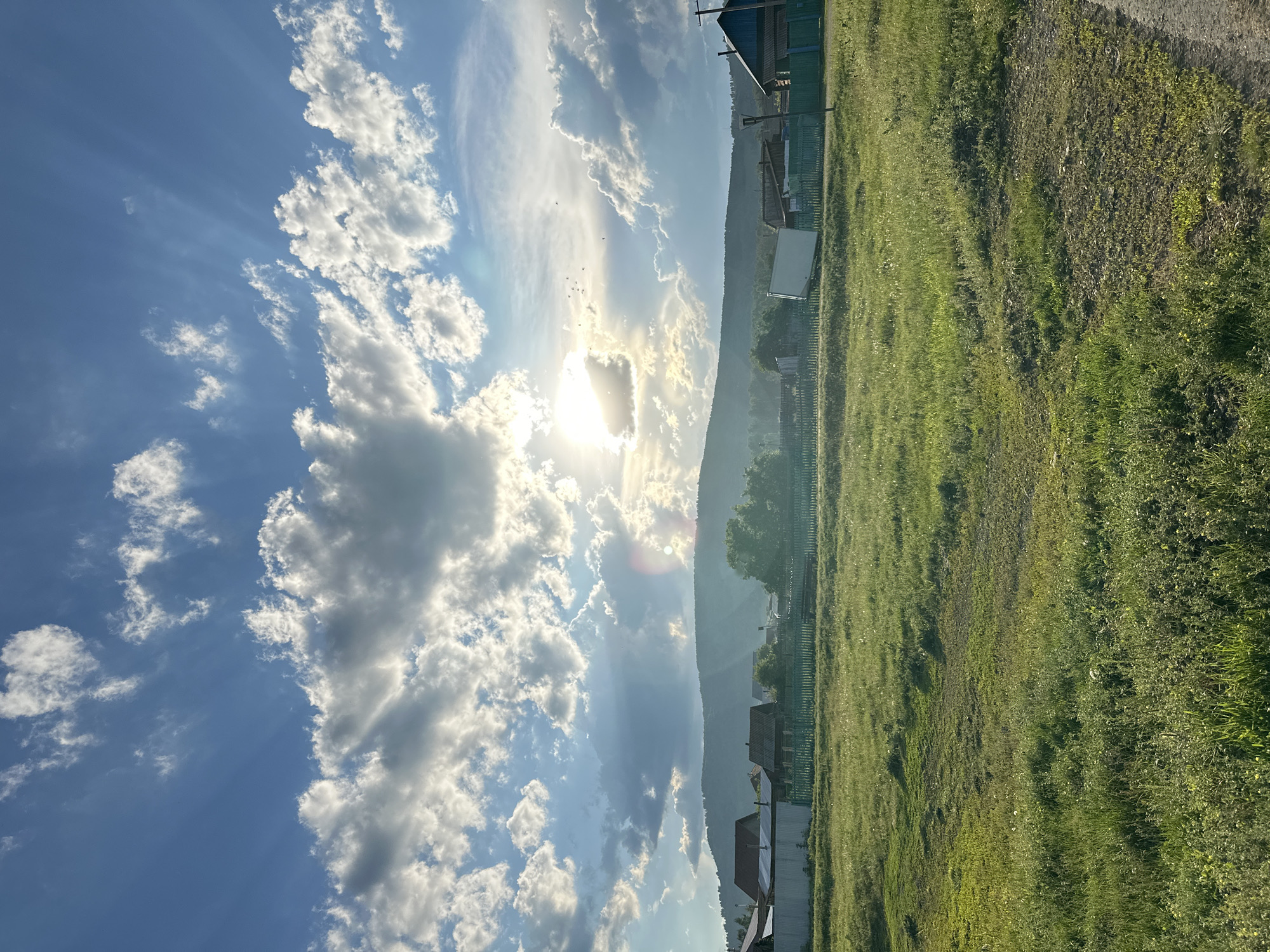 The image depicts a rural landscape under a dramatic sky. The foreground is dominated by a grassy field with patches of bare earth and scattered wildflowers, suggesting a slightly untamed or natural setting. A weathered green wooden fence runs horizontally across the middle ground, separating the field from a collection of buildings. These buildings appear to be houses, some with visible roofs and wooden structures, suggesting a small village or rural settlement. Beyond the houses, a line of trees forms a backdrop, and further in the distance, a large, sloping hill or mountain range is visible, shrouded in a soft, hazy light. The sky is a prominent feature, with a bright sun peeking through a dense arrangement of white and gray clouds. Rays of sunlight stream down from behind the clouds, creating a dramatic and atmospheric effect. A few small, dark shapes that could be birds are visible in the sky, adding a touch of life to the scene. The overall impression is one of a serene, yet dynamic, natural environment in a rural location.