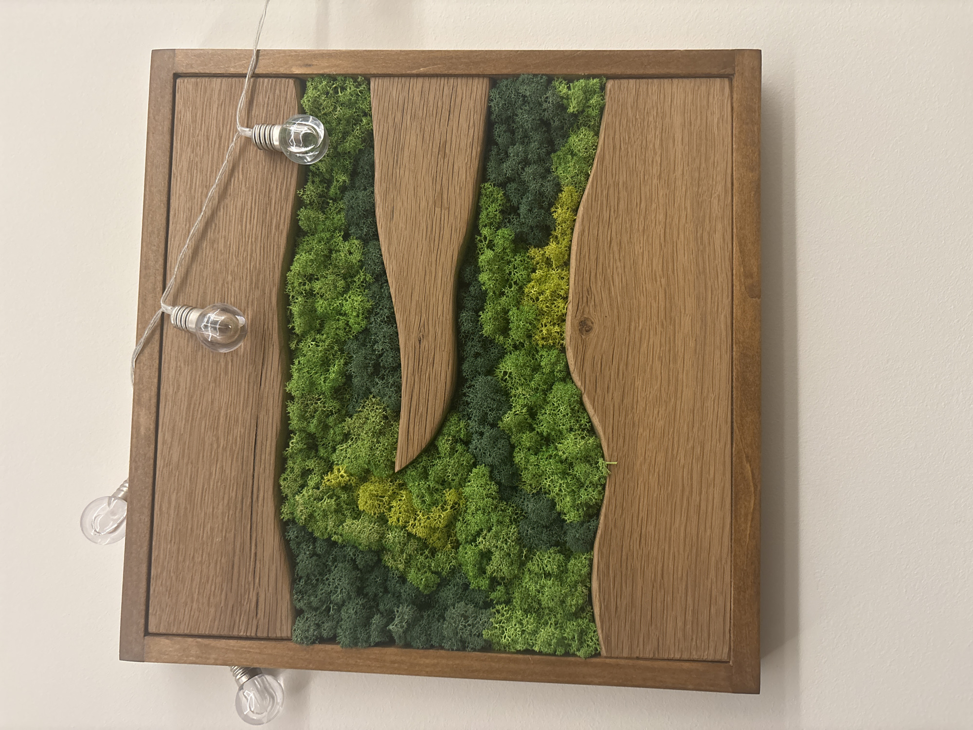 A square wooden framed artwork hangs on a white wall. The artwork features two vertical wooden panels with irregular, curved edges, leaving a central space filled with varying shades of green moss. A string of decorative lights with small, clear bulbs is draped over the artwork, extending to the left side. The bulbs are spaced unevenly along the string. The artwork has a natural, rustic aesthetic. The photograph appears to be taken indoors, likely in an art gallery or a home. Without additional information, the location in the city of Plovdiv, Bulgaria cannot be determined.