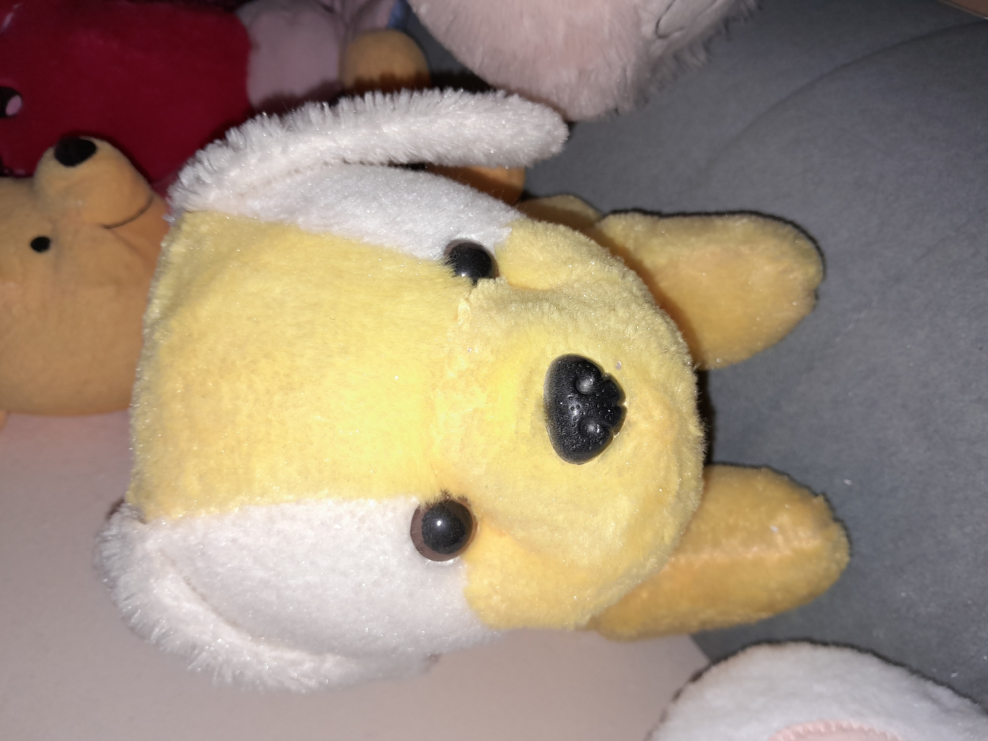A close-up, eye-level shot captures a yellow and white stuffed dog, positioned centrally on a gray surface. The dog's fur is plush, with a glittery sheen visible throughout, particularly on the white sections of its ears and forehead. Its eyes are dark, circular buttons, and its nose is a black, textured material. The dog's ears are floppy and white, with a fuzzy texture. To the left of the stuffed dog, a portion of another white, plush object with pink accents is visible. Behind the dog, several other stuffed animals are present, including a yellow bear and a red object, partially obscured. The background is softly blurred, suggesting a shallow depth of field. The setting does not provide any discernible details related to the city of Uchquduq, Uzbekistan.