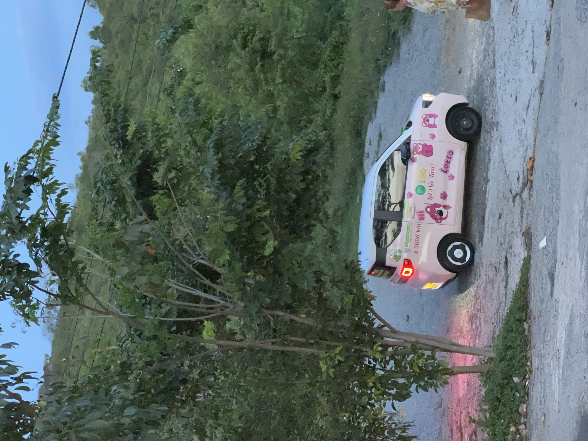 A pink, three-door electric vehicle, decorated with images of cartoon bears and pink paw prints, is parked on a gravel and concrete surface, near a tree. The vehicle has a license plate with Vietnamese characters, and text on the door reads "LGO Let's Go Taxi!". A woman wearing a yellow and white patterned dress is standing to the right of the vehicle, holding a brown bag. The scene is outdoors, with lush green trees and a hillside in the background. The sky is overcast, suggesting either dusk or dawn. The location is identified as Bac Nha Trang Ward, Vietnam.