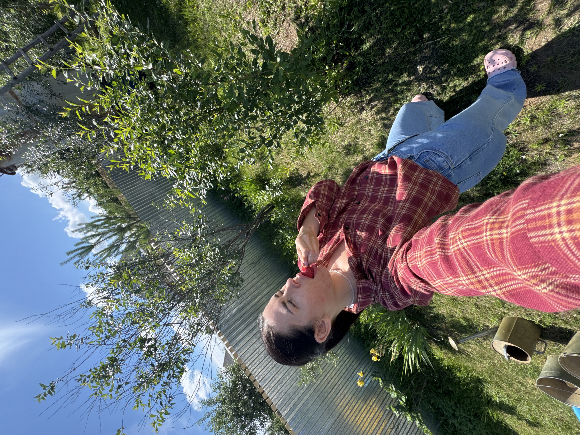 A young woman with dark hair pulled back is captured from a high-angle perspective in a backyard setting in Olkhovka, Russia. She is wearing a red and beige plaid shirt and blue jeans, with pink crocs on her feet. The woman is holding a strawberry to her mouth and appears to be eating it. She is standing on a grassy lawn, with a metal fence and various trees and bushes visible in the background. Sunlight illuminates the scene, casting shadows on the ground. To the left of the woman, a watering can and buckets are visible. The sky is blue with scattered white clouds.
