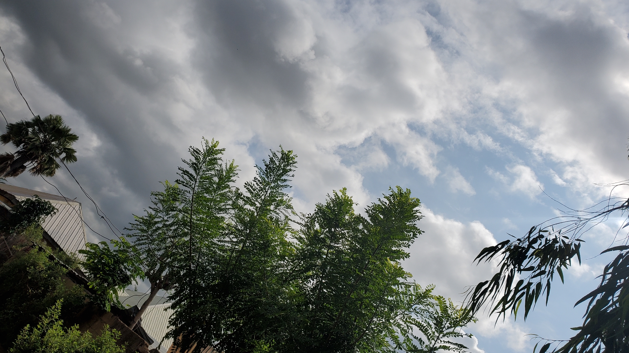 The image depicts an upward-looking view of trees and a building against a sky with dramatic cloud formations. In the foreground, lush green trees with dense foliage dominate the lower half of the frame. To the left, a palm tree is partially visible, its fronds fanned out. A white corrugated metal roof of a building is also visible on the left side of the image, with some dark green foliage obscuring parts of it. Black electrical wires crisscross the sky. The sky itself is a mixture of dark, heavy clouds on the left and brighter, scattered clouds on the right, with patches of blue sky visible. The overall impression is of an outdoor scene in Jalingo, Nigeria, likely taken during a day with variable weather conditions. There are no people or specific actions captured in this image.
