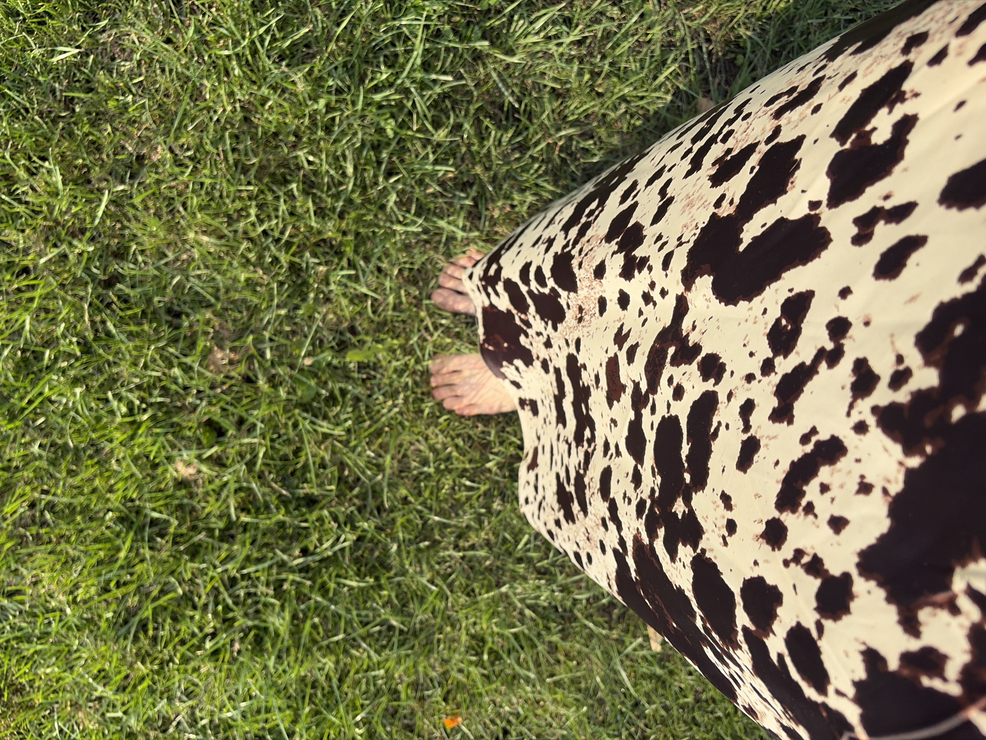 A top-down shot shows two bare feet standing on a patch of green grass. The feet are positioned slightly apart, with the toes pointing forward. A portion of a dress with a cow-print pattern is visible in the foreground, obscuring the lower legs and extending down towards the feet. The dress has irregular brown splotches on a cream-colored background. The grass appears to be healthy and well-maintained, with individual blades clearly visible. The lighting suggests it is daytime, possibly late afternoon given the angle of the sun casting subtle shadows. The background consists entirely of more green grass, indicating an outdoor setting. There is no visible indication of the specific location within Chaikovsky, Russia, other than it is an outdoor grassy area.