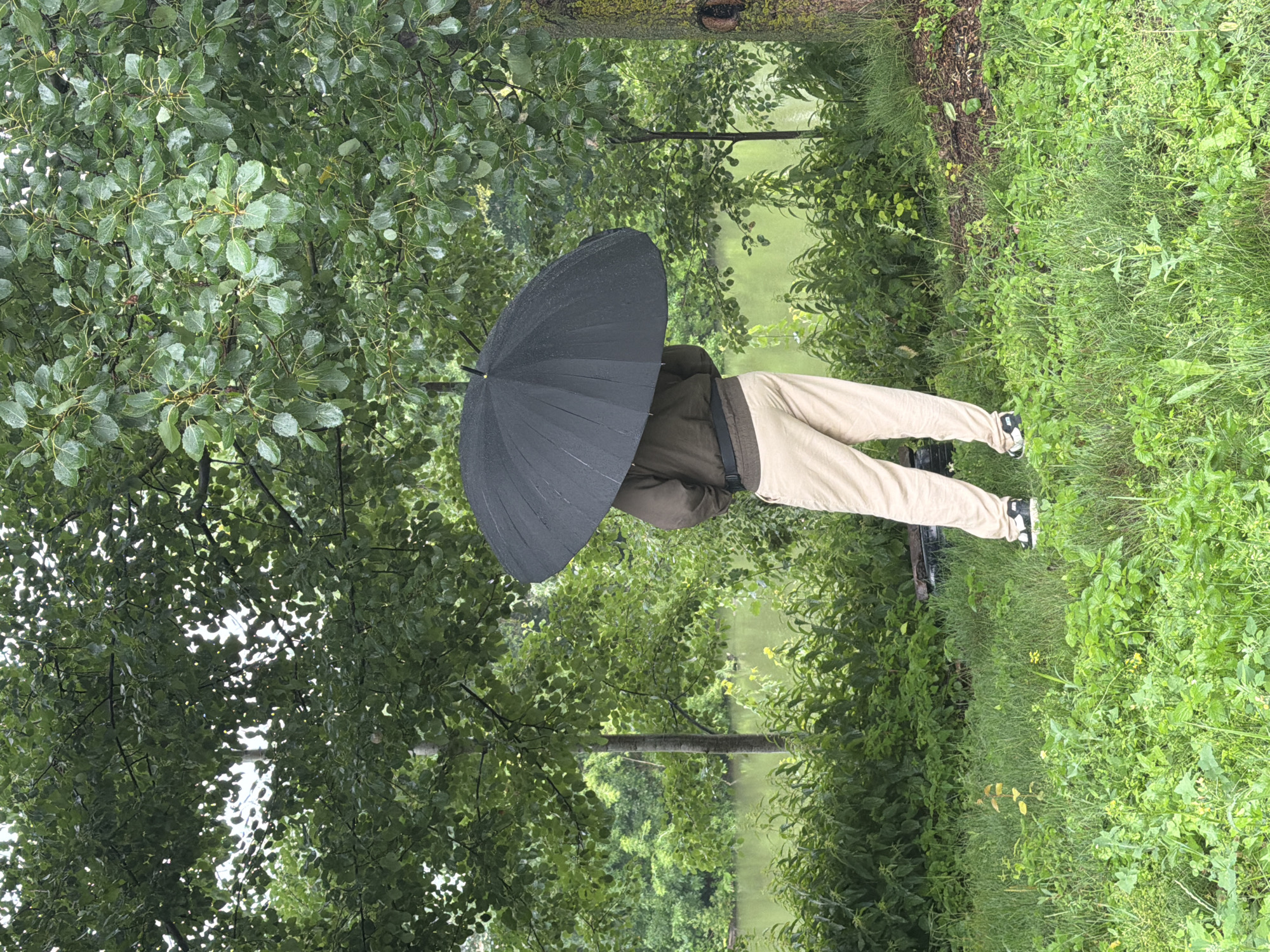 A person stands under a large black umbrella, facing away from the camera. They are wearing a dark green jacket and light beige pants, with black and white sneakers. The person is positioned on a grassy bank, with lush green foliage and trees surrounding them. In the background, a calm body of water, possibly a lake or river, is visible, bordered by more dense greenery. The overall scene suggests an outdoor setting, likely during a light rain, given the umbrella. The location is specified as Nikulskoye, Russia.