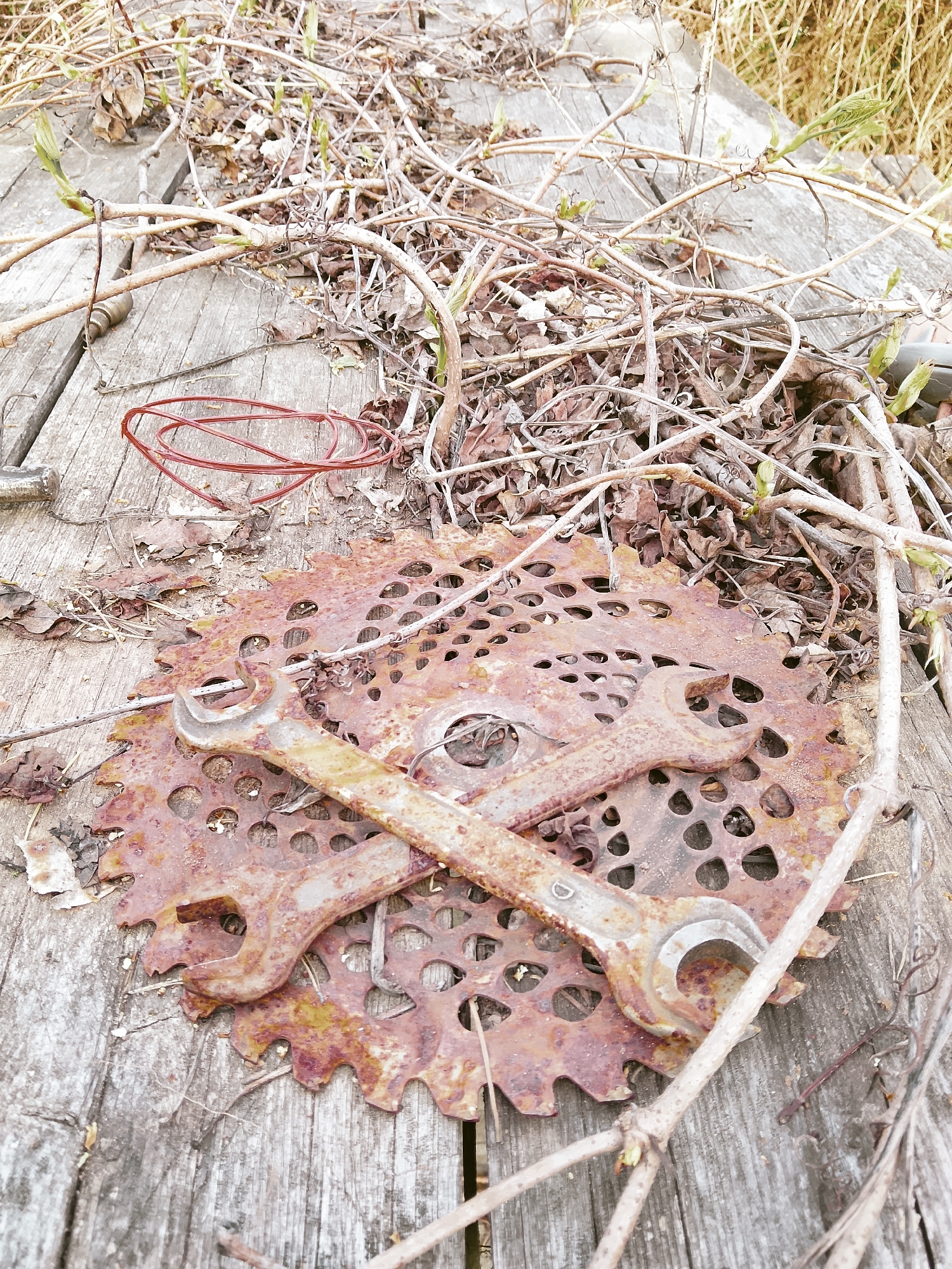The scene depicts a weathered wooden surface, possibly a deck or platform, covered in organic debris, including twigs, dried leaves, and sprouting vines. Overlaid on the wood is a rusted metal bicycle gear and a pair of crossed, equally rusted wrenches. A length of red wire lies nearby. There is no evidence to support the location being in Chaikovsky, Russia. The image contains no people or signs of immediate activity.