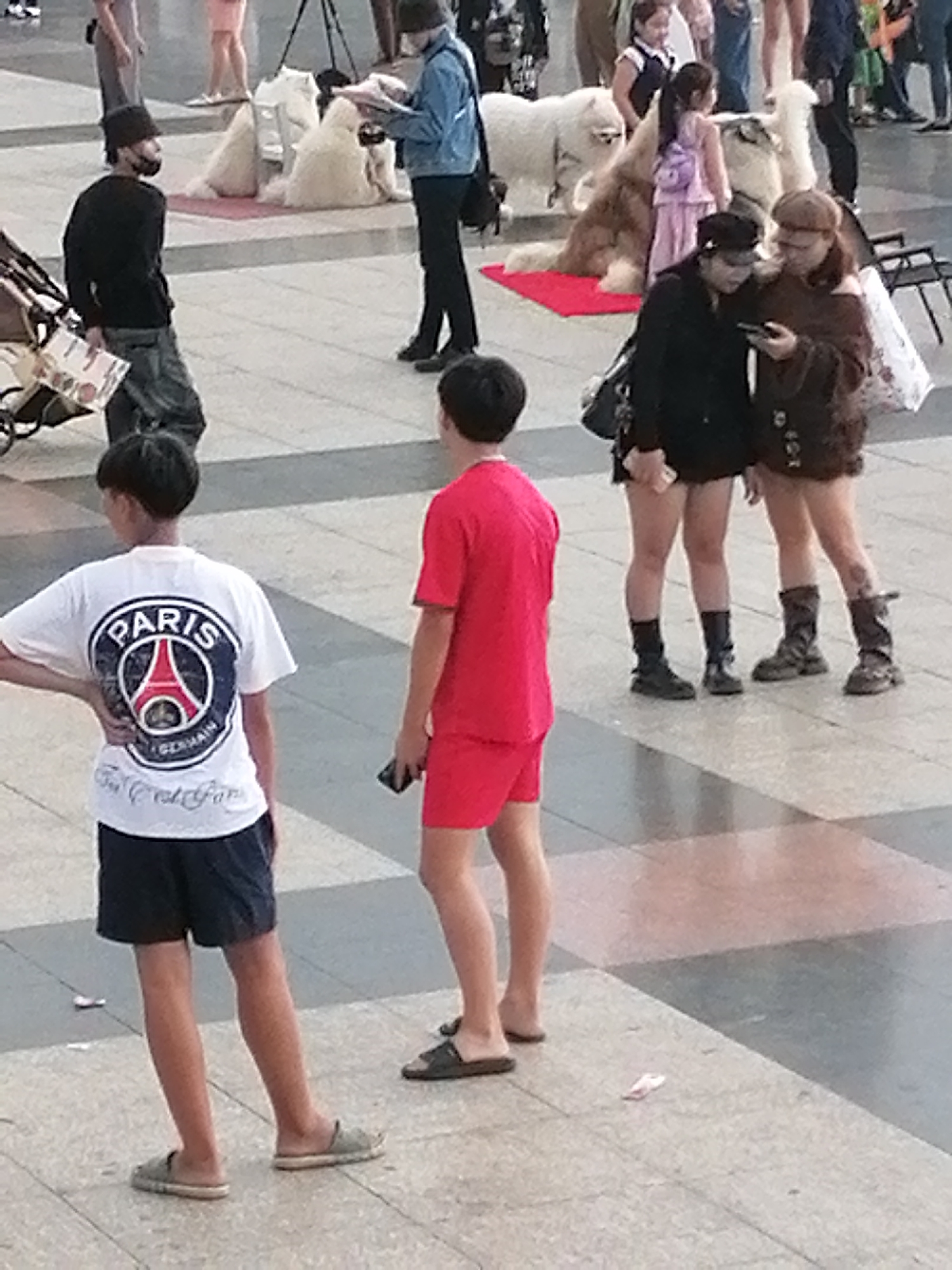 The image shows a group of people in an outdoor setting, possibly a plaza or pedestrian area. In the foreground, two young men are visible. One, wearing a white t-shirt with a "Paris" emblem and dark shorts, stands with his hand on his hip. The other, in a red t-shirt and shorts, holds a phone. Behind them, two women are looking at a phone together. One wears a black jacket and skirt, the other a brown jacket and skirt. Both are wearing boots. Further in the background, several large, fluffy white dog-like figures are arranged on a red mat, suggesting a promotional event or display. A person in a blue jacket and dark pants is holding a book or tablet, looking down at it. Other people and a stroller are also present, indicating a public gathering. The scene appears to be set during daylight, with the lighting suggesting it could be afternoon. The tiled ground and open space are typical of urban public areas. The overall mood seems relaxed and casual. Text visible on the white t-shirt includes "PARIS," a depiction of the Eiffel Tower, and "TOI C'EST PARIS".