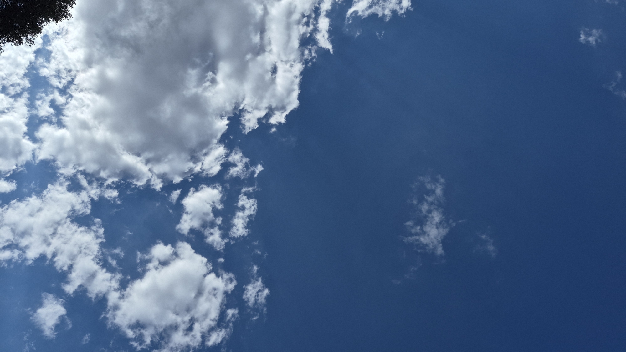 A vertical, low-angle photograph captures a section of a blue sky filled with scattered clouds. The clouds are white and fluffy in some areas, while others are darker and more dramatic, suggesting potential depth or impending weather. The upper right corner of the image is partially obscured by the dark green foliage of a tree, which is out of focus. The overall impression is one of a bright, possibly breezy day. The scene is set in the city of Unknown, Unknown.