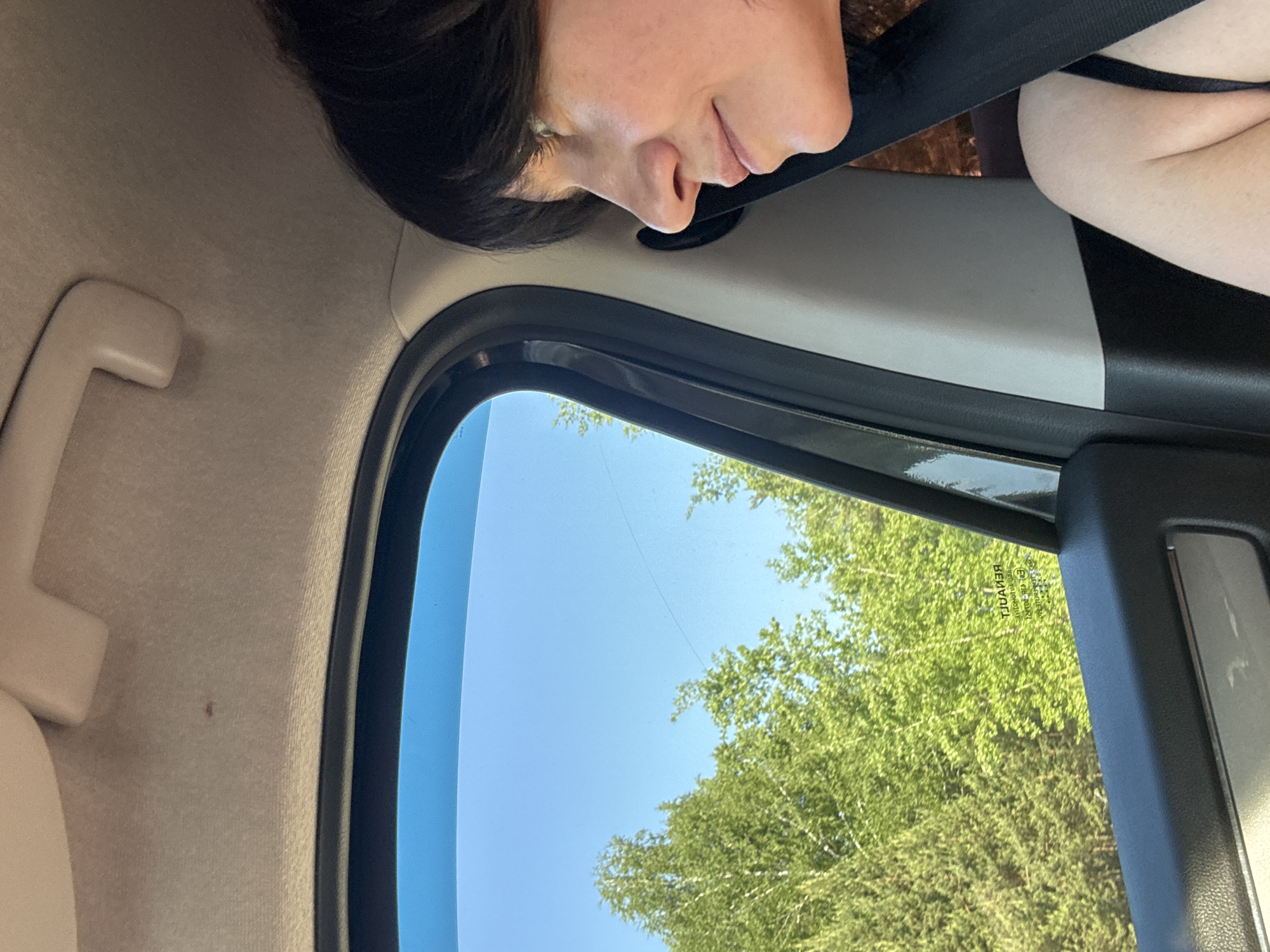 A sideways indoor shot shows a person wearing a seatbelt, with a view out of a car window. The background consists of a clear blue sky and green trees. The car's interior, including the side window frame and a grab handle, are visible. The specific location in Chaikovsky, Russia cannot be determined from the image.