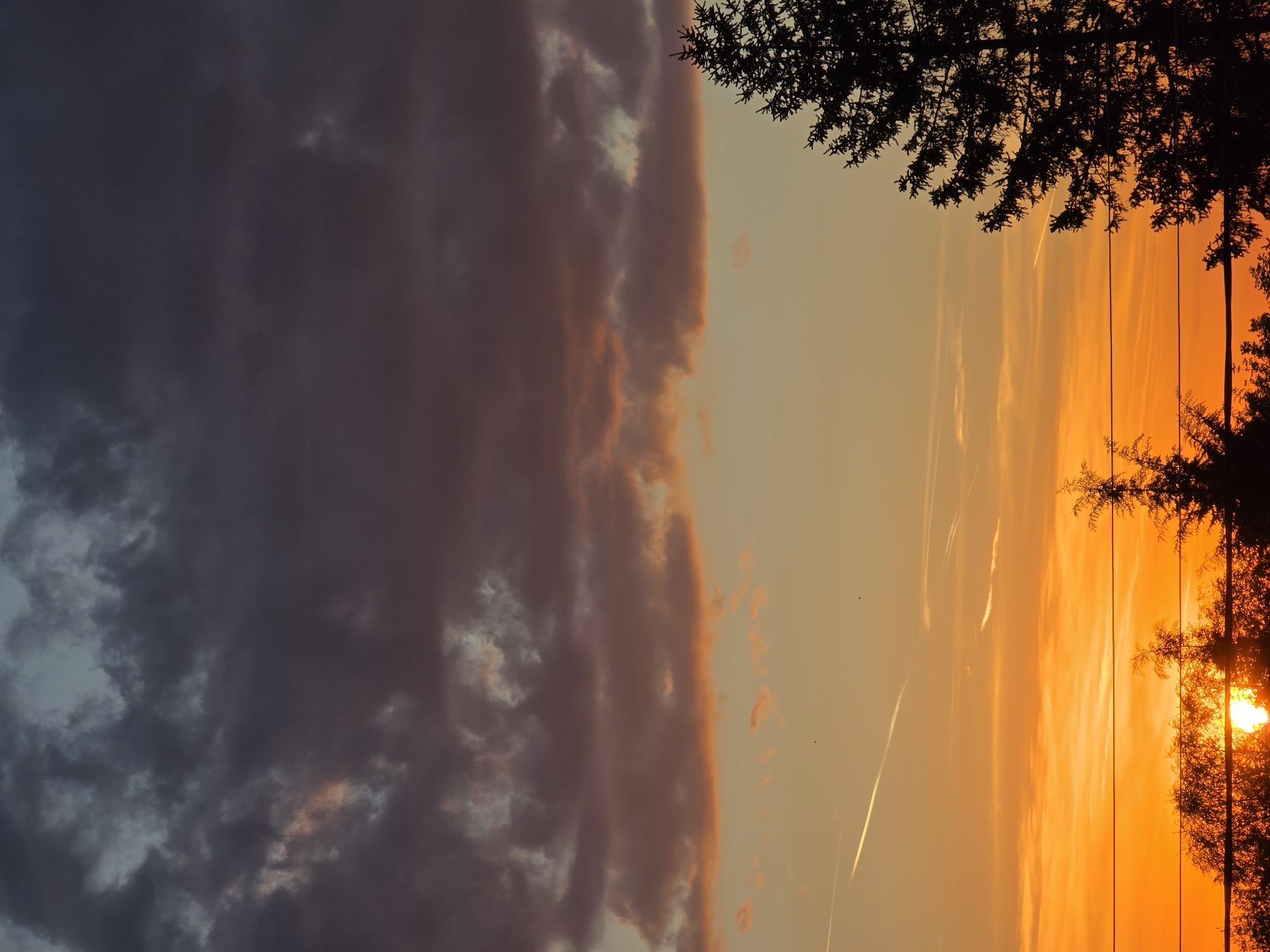 The image displays a dramatic sunset or sunrise over what appears to be a natural or semi-rural landscape in Yagodovo, Bulgaria. The sky is the dominant subject, split into two distinct atmospheric conditions. On the left side, a large expanse of dark, heavy clouds, possibly indicative of recent or impending weather, fills the frame. These clouds exhibit deep grey and bluish tones, with subtle hints of reddish-pink and purple where the light touches them.
Towards the right, the sky transitions into a brilliant and intense array of oranges and yellows, characteristic of golden hour lighting. The sun, a radiant orb, is partially visible in the lower right portion of this bright sky, peeking through the silhouetted branches of trees. Dark, intricate outlines of tree branches and foliage frame the upper and right edges of the image, appearing as stark silhouettes against the luminous backdrop. Several thin, vertical lines, resembling utility wires or ropes, are also visible, hanging down from the upper right and sharply contrasted against the bright sky.
Within the glowing orange sky, multiple long, white contrails from aircraft stretch across, adding subtle linear elements to the vast expanse. The overall scene conveys a sense of natural beauty and the dynamic interplay of light, clouds, and atmospheric conditions at dusk or dawn. There are no people visible in the image, and no discernible text.