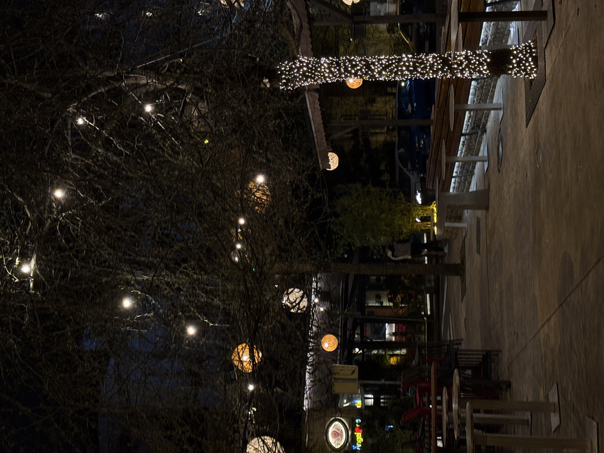 The image shows an outdoor scene at night in Belgrade, Serbia, featuring a tree decorated with hanging spherical lights and string lights. A building with illuminated signs and storefronts is visible in the background. Several tables and chairs are set up, suggesting a restaurant or cafe. Some pedestrians are walking in the area.