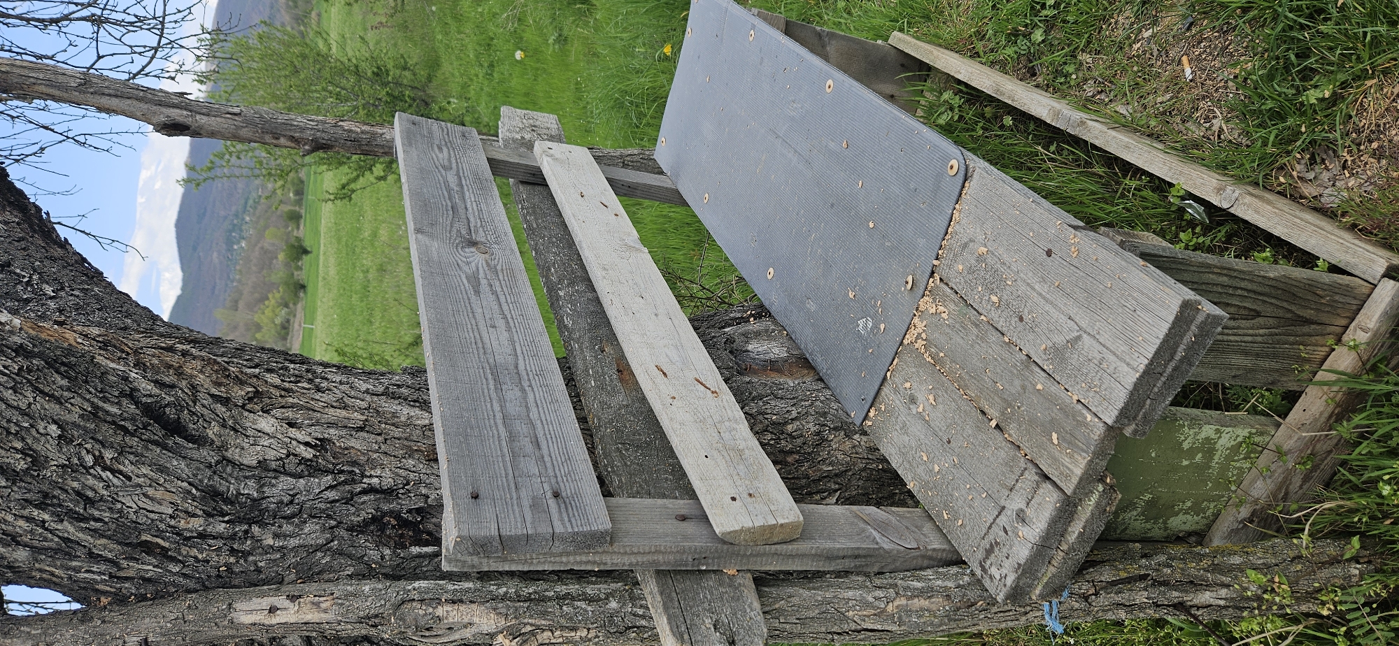 This outdoor image, taken in Drenkovo, Bulgaria, captures a rural scene centered around a large, ancient tree trunk with deeply fissured, dark bark. Leaning against or integrated with the tree trunk is a makeshift structure composed of various weathered wooden planks.
Several planks are visible in the foreground; some are greyish and show prominent grain and nails, while another is lighter in color. A dark grey corrugated plastic sheet, secured by circular fasteners, covers a section of the wooden framework. This sheet and the surrounding wooden surfaces are dusted with wood shavings and sawdust, suggesting recent cutting or construction activity. Beneath the plastic sheet, a piece of wood with peeling green paint is visible.
The background reveals expansive green fields and meadows, leading to undulating hills or mountains under a bright blue sky dotted with scattered white clouds. The clear light indicates a daytime setting with fair weather.
Closer inspection of the ground around the wooden structure reveals signs of human presence, including a discarded cigarette butt and a shard of broken glass among the green grass. A piece of blue string or rope is also partly visible near the base of the tree. No visible text is present in the image.