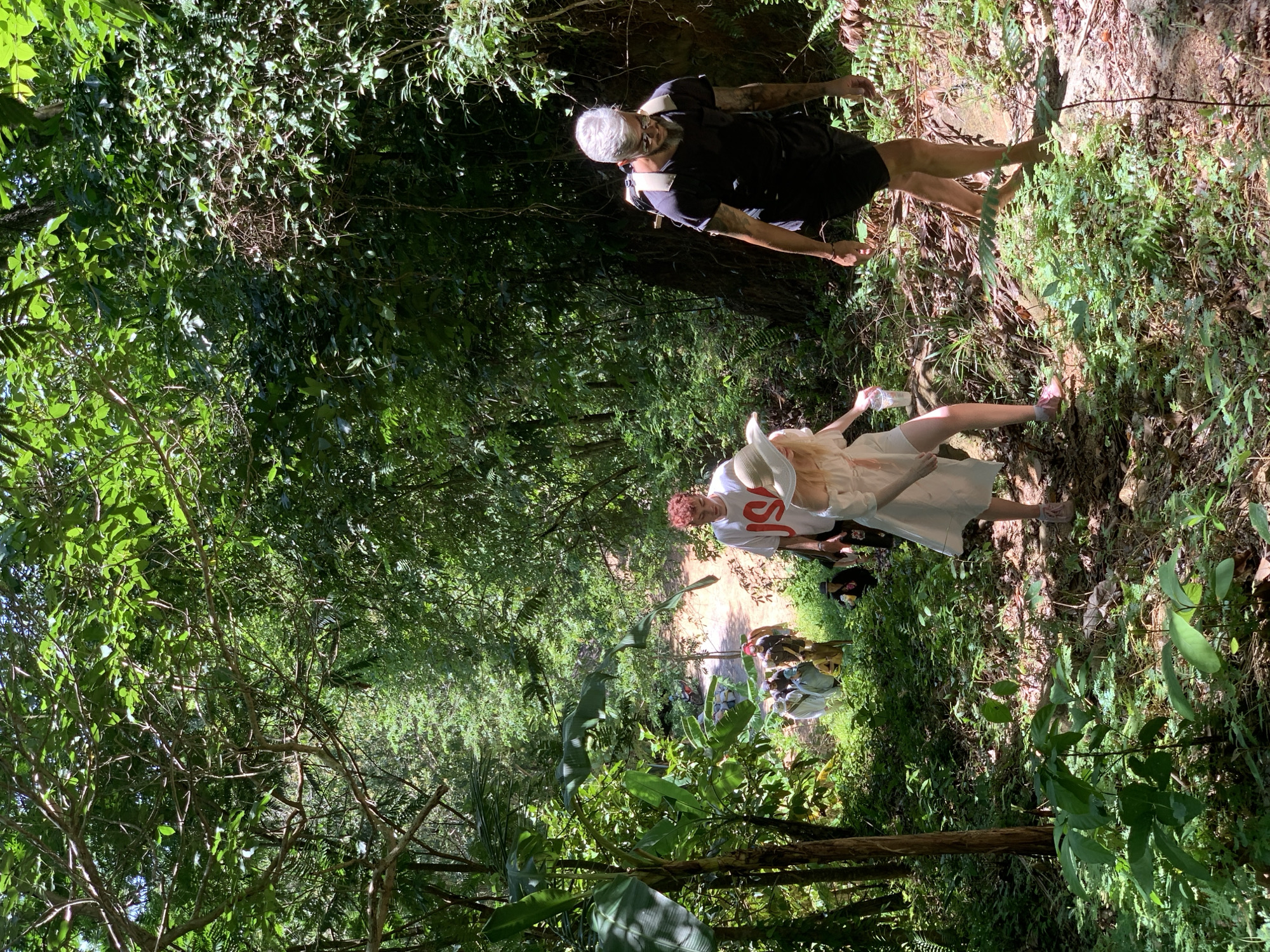In the lush, verdant jungle of Ko Samui District, Thailand, a group of individuals navigates a sun-dappled, descending dirt path. The dense foliage overhead creates a canopy of dappled light, with broad leaves and tangled branches framing the scene. In the foreground, a person wearing a white dress and a straw hat walks downhill, holding a clear plastic cup. To their right and slightly behind, a man with grey hair, a beard, sunglasses, and a black t-shirt is also walking downhill, carrying a backpack. Further down the path, several other people are visible, some in lighter-colored clothing, also descending. The path itself is uneven, with exposed roots and rocks, suggesting a natural, untamed environment. The overall impression is of a group hiking or exploring through a tropical rainforest.