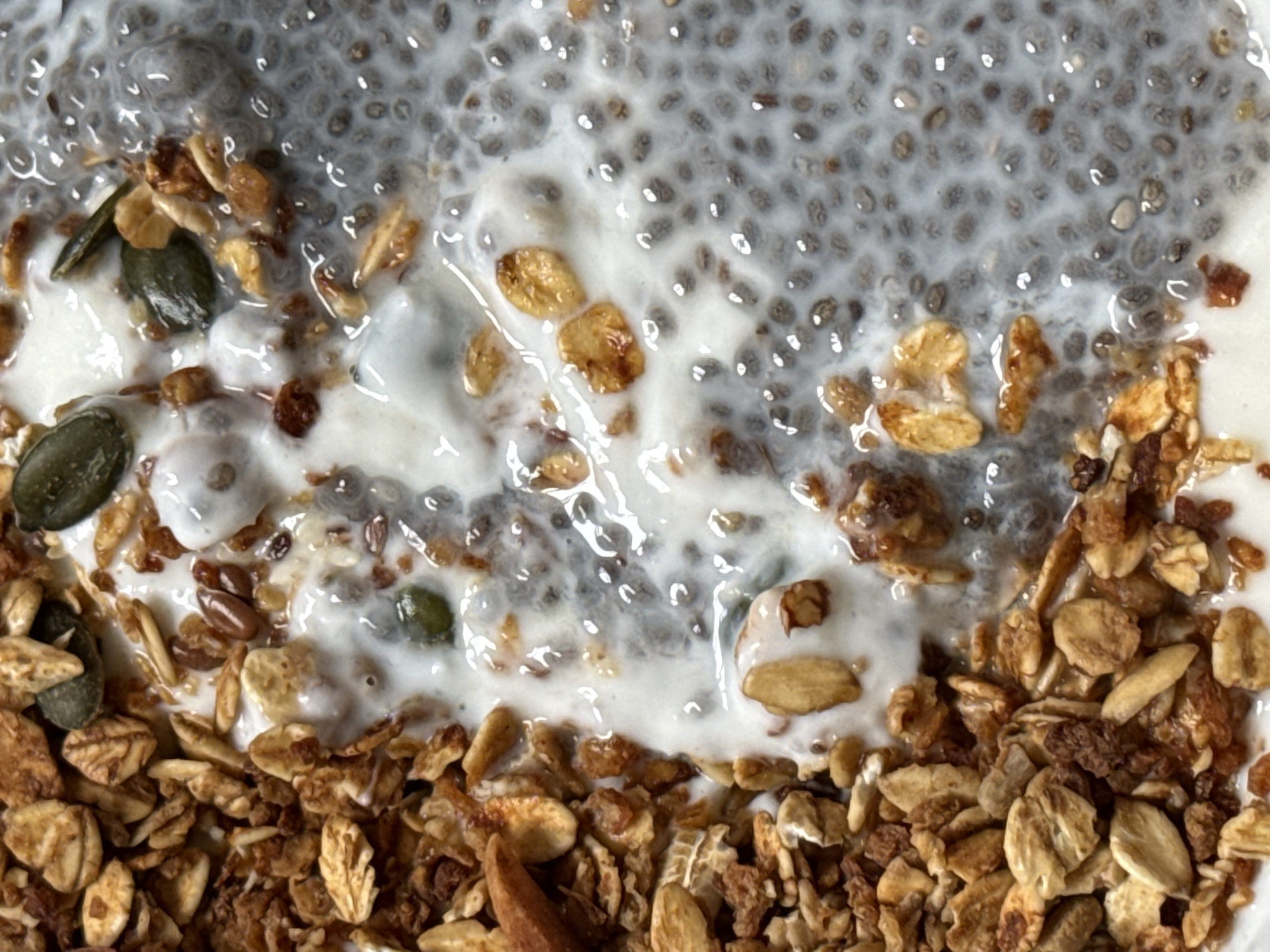 The image is a close-up shot of a bowl of food, likely a breakfast or snack item. The composition includes granola at the bottom, layered with yogurt or a similar creamy substance. On top of the yogurt is a chia seed pudding or a mixture of chia seeds and liquid. The granola appears to be a mixture of grains, nuts, and seeds. Some pumpkin seeds are visible. The yogurt or creamy layer has a glistening, slightly translucent appearance. The chia seed pudding is characterized by the small, gelatinous spheres created by the seeds soaking in liquid. The image focuses on the textures and arrangement of the ingredients within the bowl. There is no indication of Tel-Aviv, Israel or any identifying information that would suggest a location.