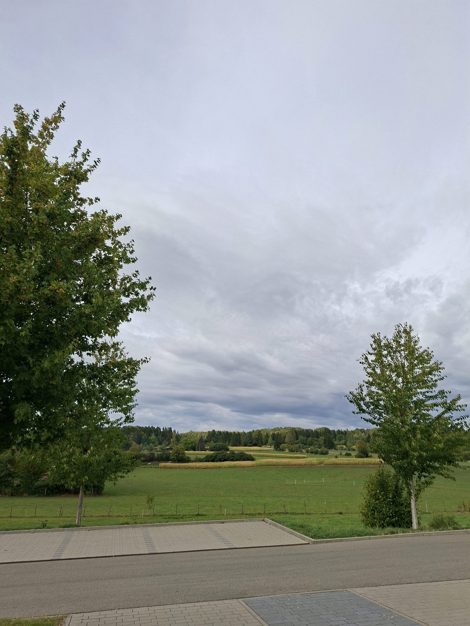 The image captures a pastoral scene under a cloudy sky. In the foreground, a paved area transitions to a grey asphalt road. Two trees stand on either side of the frame, their leaves showing hints of autumn color. Beyond the paved area lies a vibrant green field bordered by a low fence. In the distance, rolling hills are covered in a mix of trees and agricultural fields, including what appears to be a field of corn. The sky is overcast with layered grey clouds, suggesting a cool, possibly damp day. The scene is peaceful and natural, with no people or animals visible. This location appears to be on the outskirts of Villingen-Schwenningen, Germany, given the characteristic landscape of fields and forests common in the region.