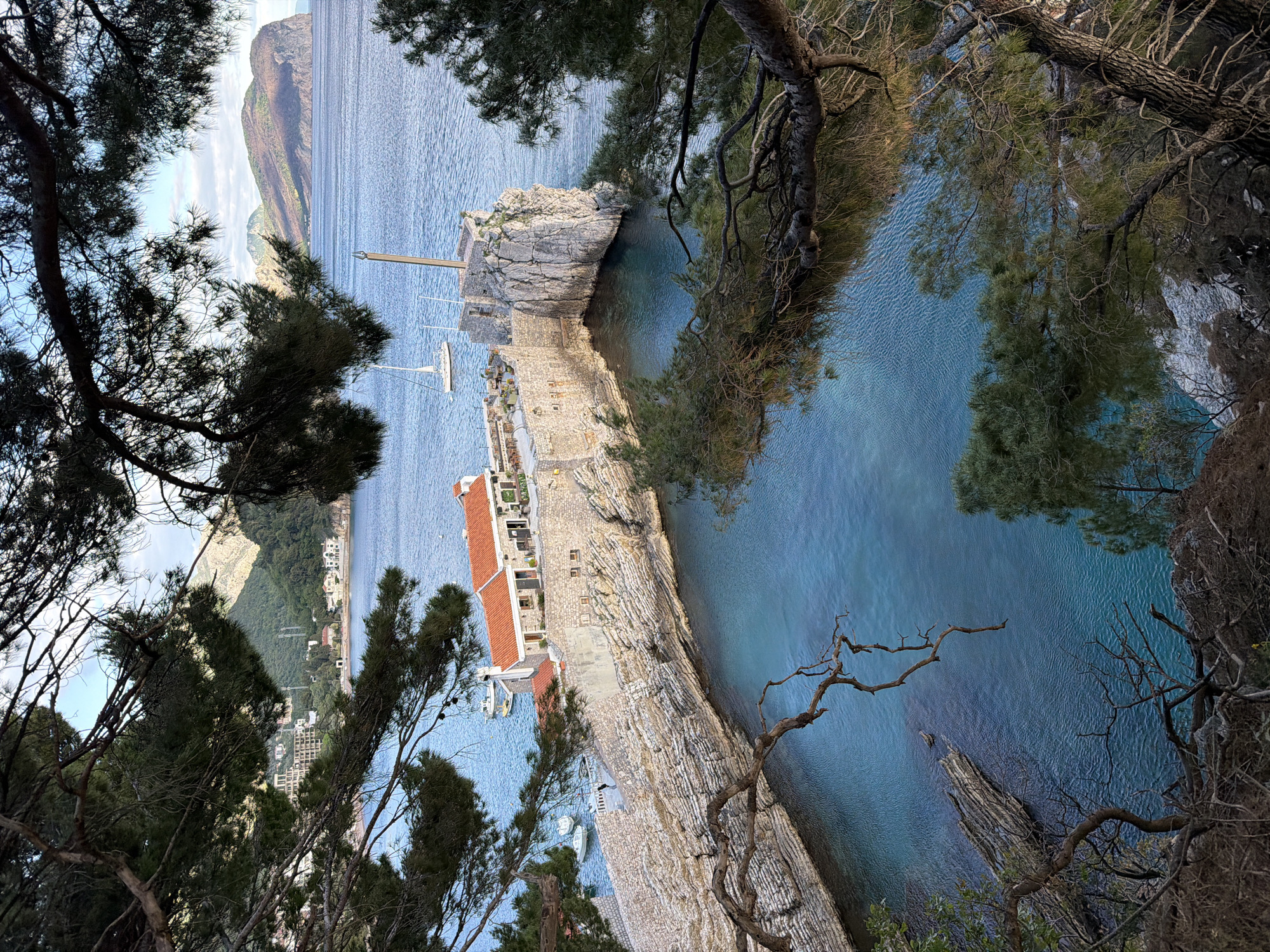 The media file displays a panoramic coastal landscape viewed from an elevated vantage point, framed by the dark silhouettes of pine tree branches and foliage. The scene is dominated by clear, blue-green waters of a bay or inlet, with gentle ripples visible on the surface.
In the midground, a rugged, rocky promontory or small island juts into the sea. This natural formation hosts several stone-built structures with distinctive red tile roofs, resembling a charming small settlement or historical site. White sailboats and smaller boats are moored in the calm waters surrounding this promontory, their masts reaching towards the sky. On the opposite side of this rocky outcrop, another body of clear water suggests a secluded cove.
Across the expansive blue water, in the background, a dramatic coastline unfolds with large, verdant hills and mountains rising from the sea. Scattered along their base are clusters of white buildings, indicating a town or city in the distance, consistent with the location context of Petrovac centar, Montenegro. The sky above is a pale blue with soft, scattered clouds.
The lighting suggests a pleasant day, likely late morning or early afternoon, with clear weather conditions. There are no people visible, and no specific activity is taking place, contributing to a serene and tranquil atmosphere. No discernible text is present in the image.